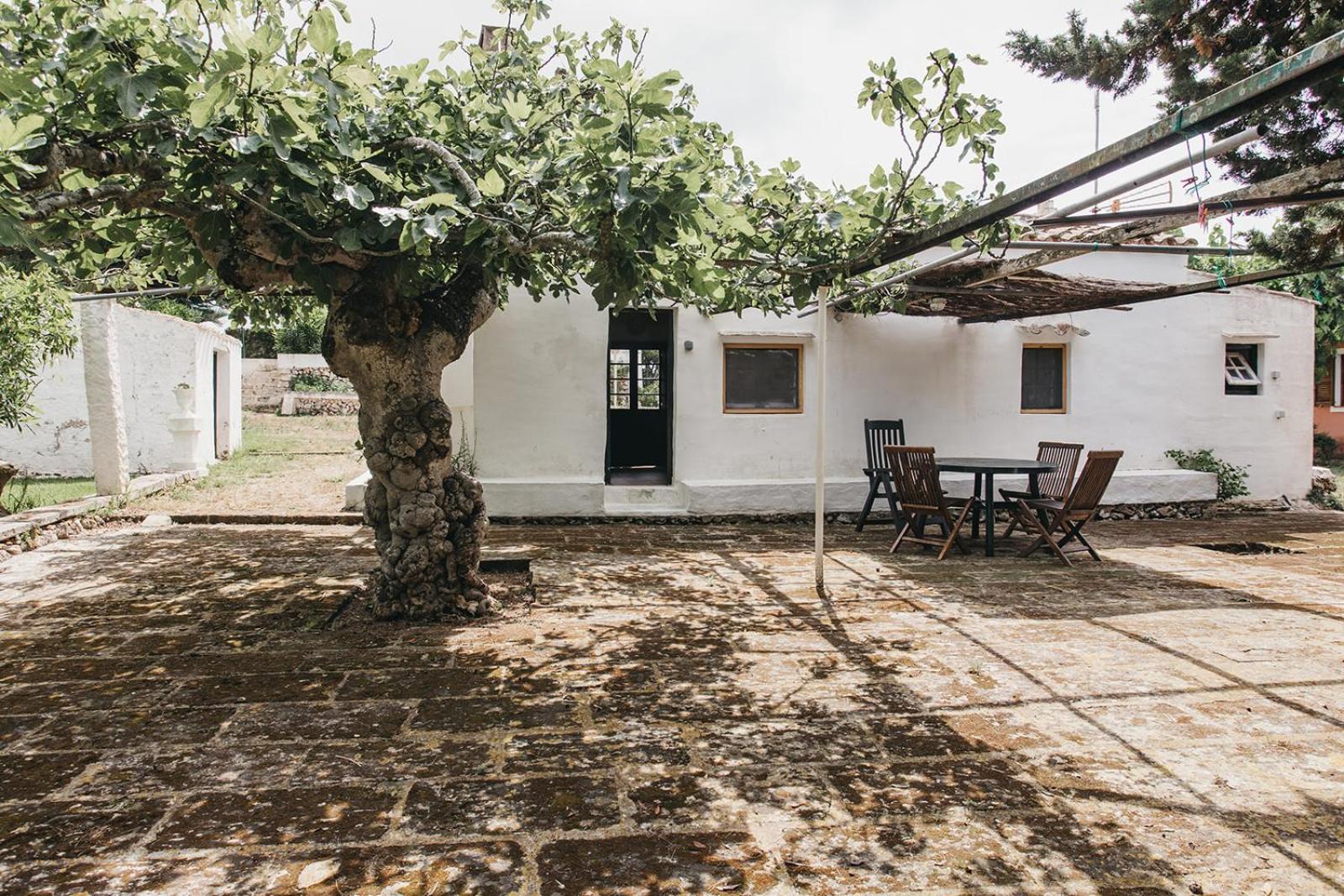 Villa (3 Adults) photo 2