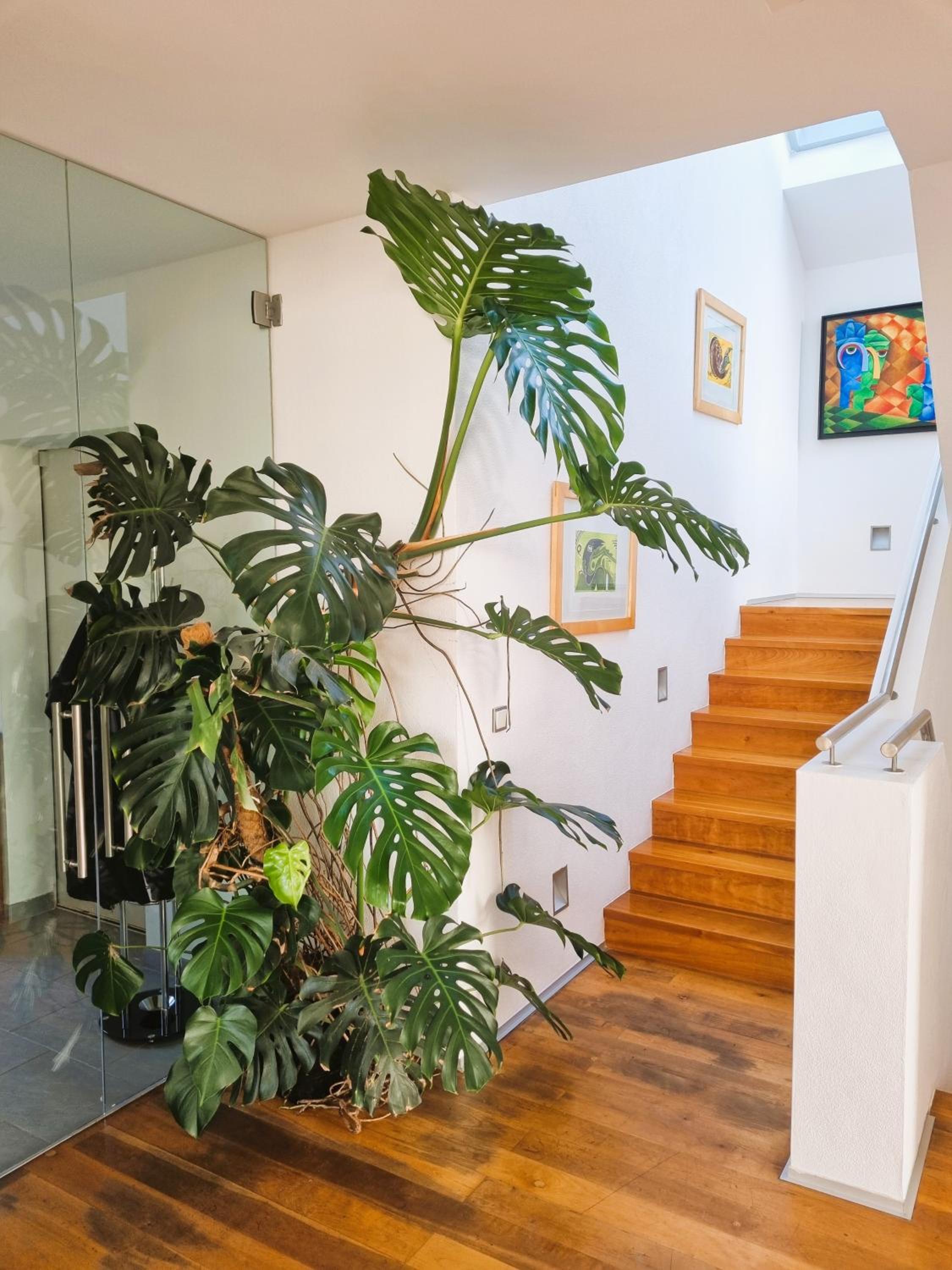 Villa photo 2