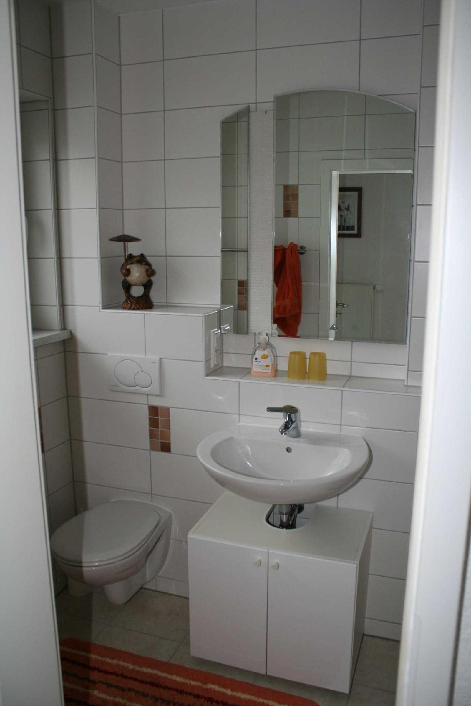 Apartment with Shower photo 3