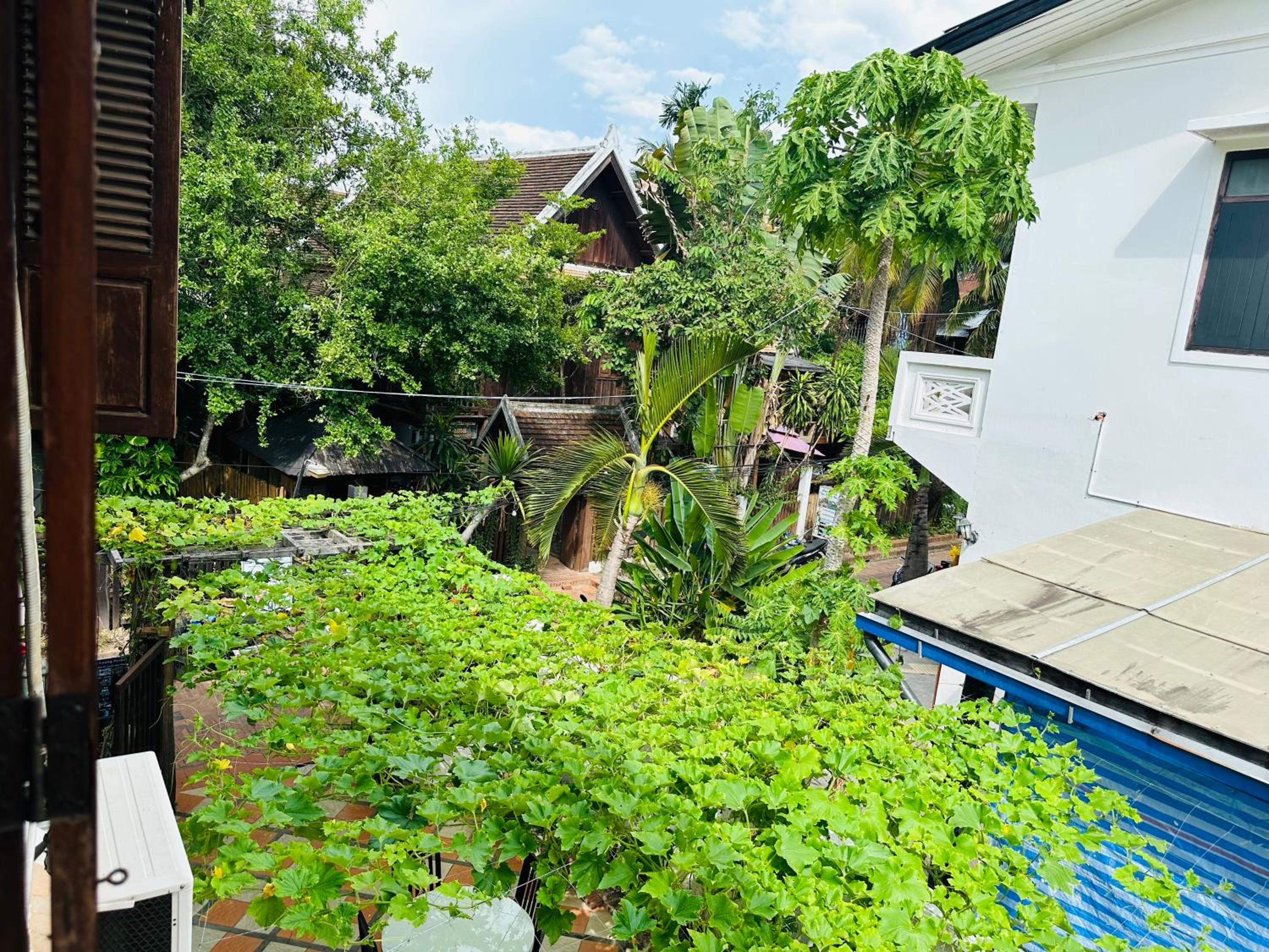 Superior Twin Room with Balcony photo 1