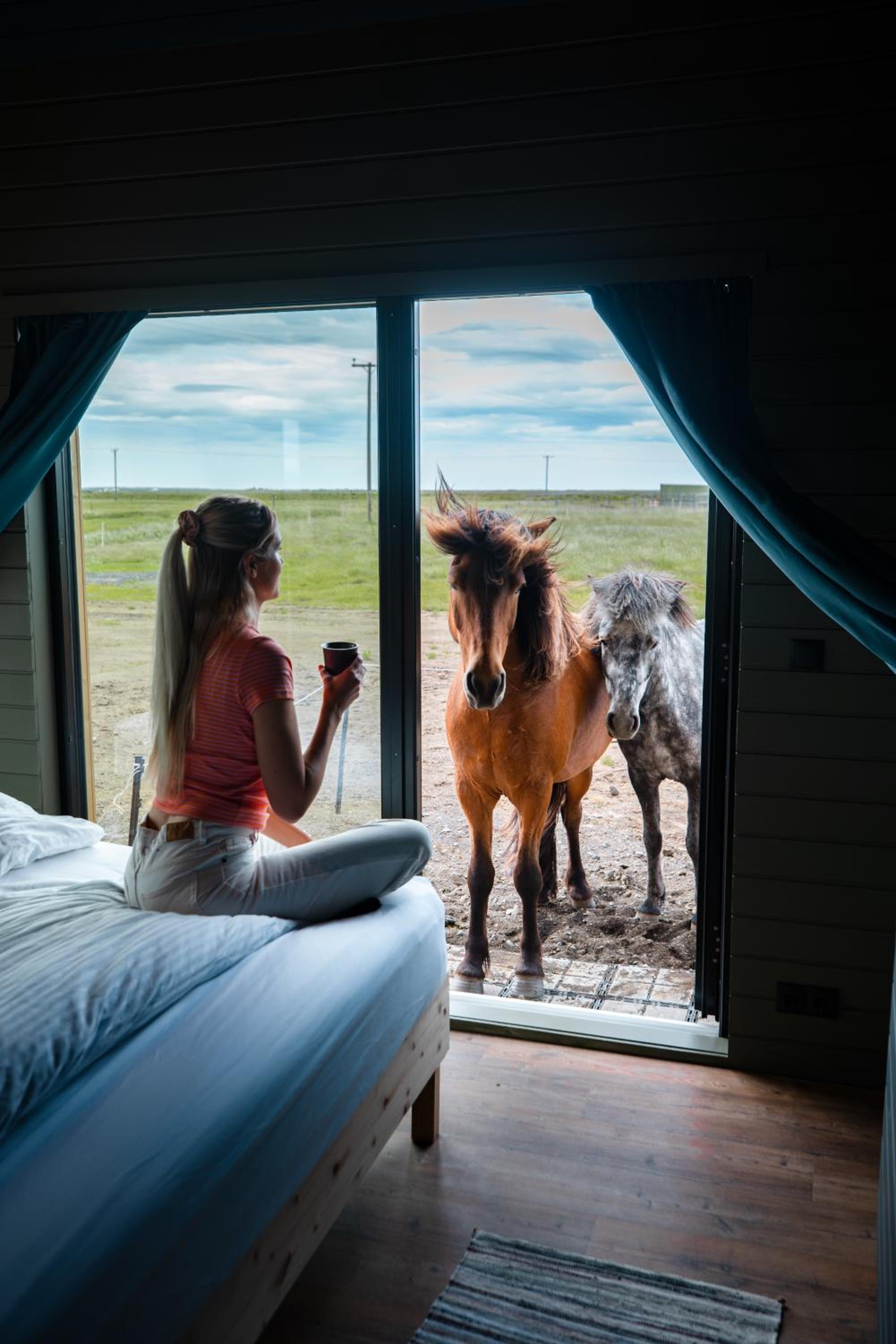 Sleeping with the horses Blesi