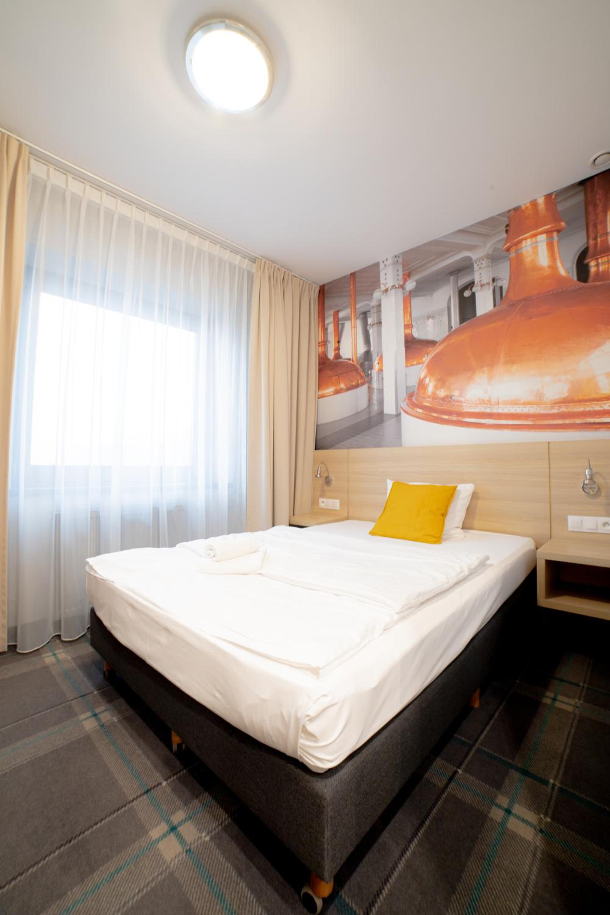 Single Room photo 1