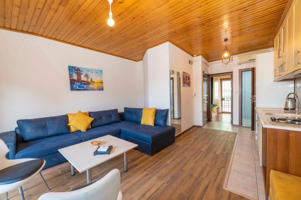 Penthouse Apartment photo 2