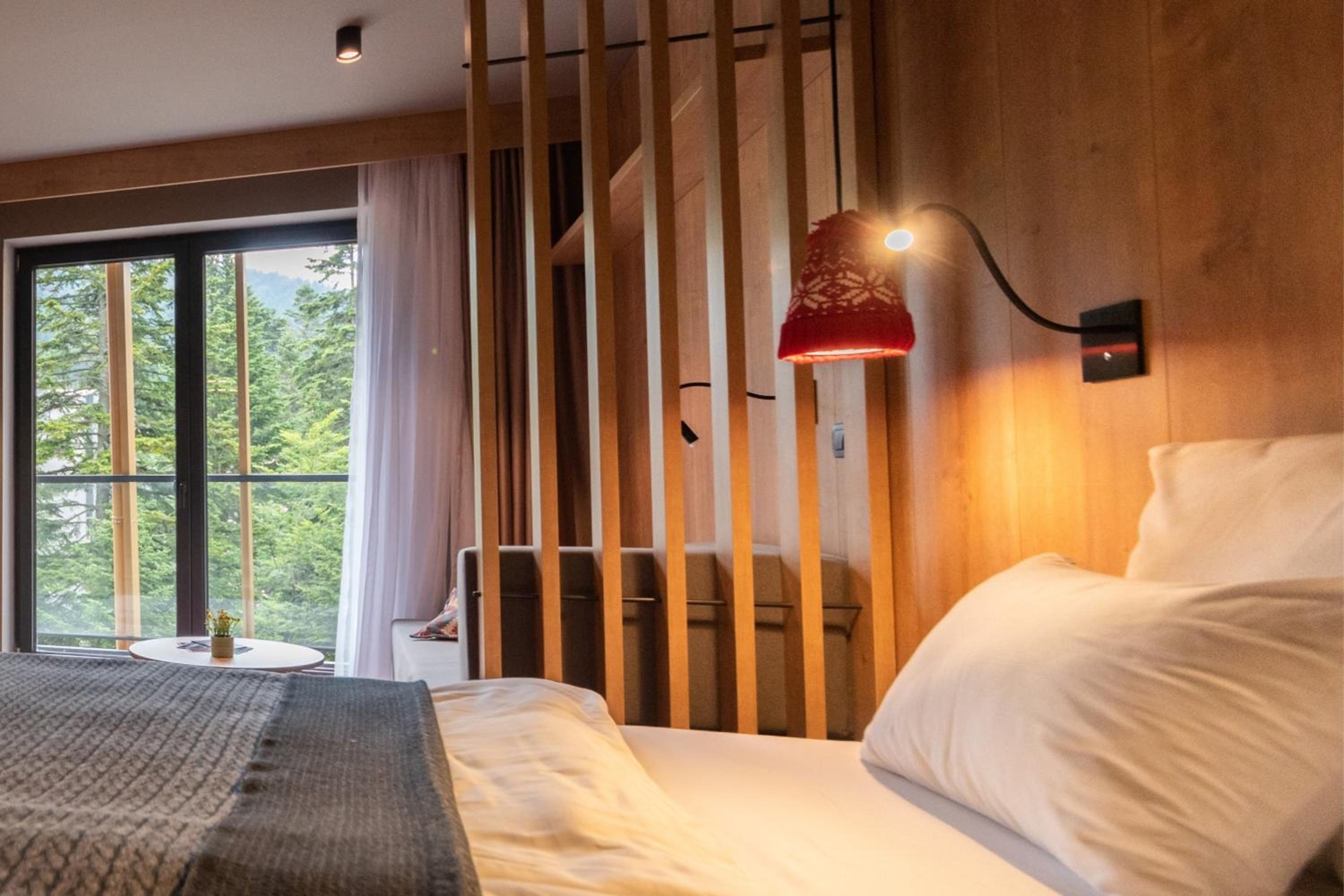 Superior Room Mountain View photo 1