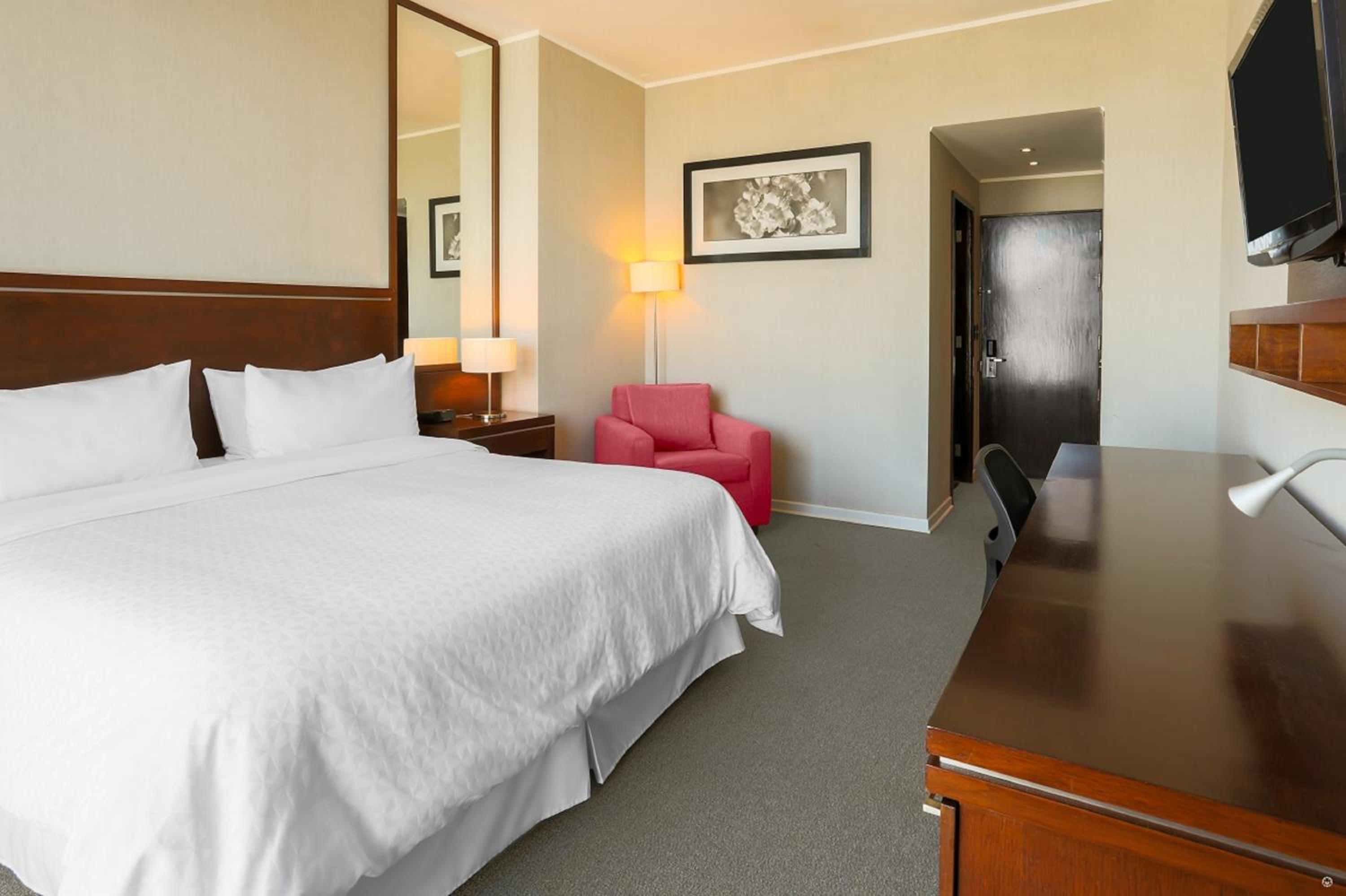 Traditional King Bed Guest Room - Photo 2