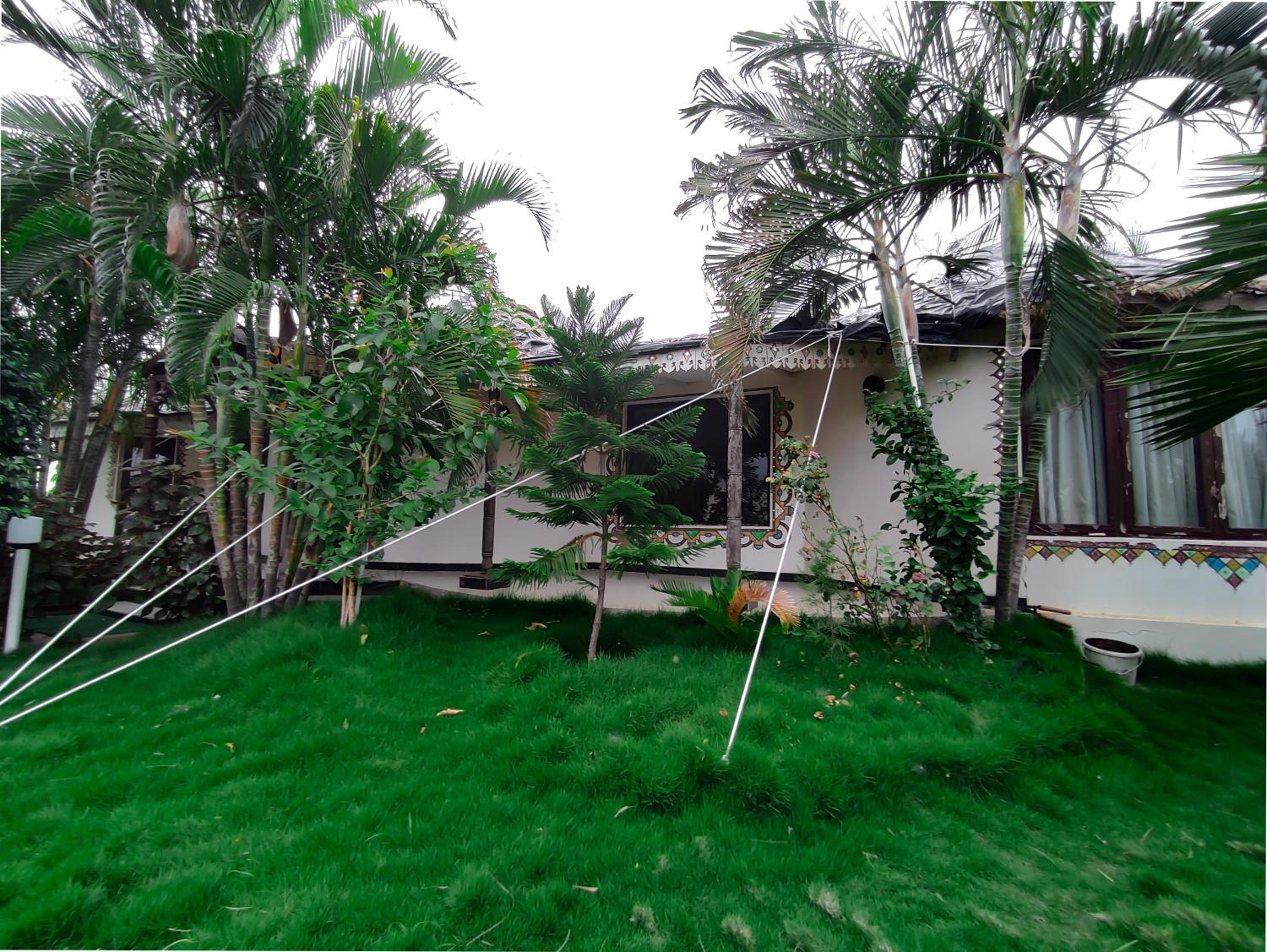 King Room with Garden View photo 2