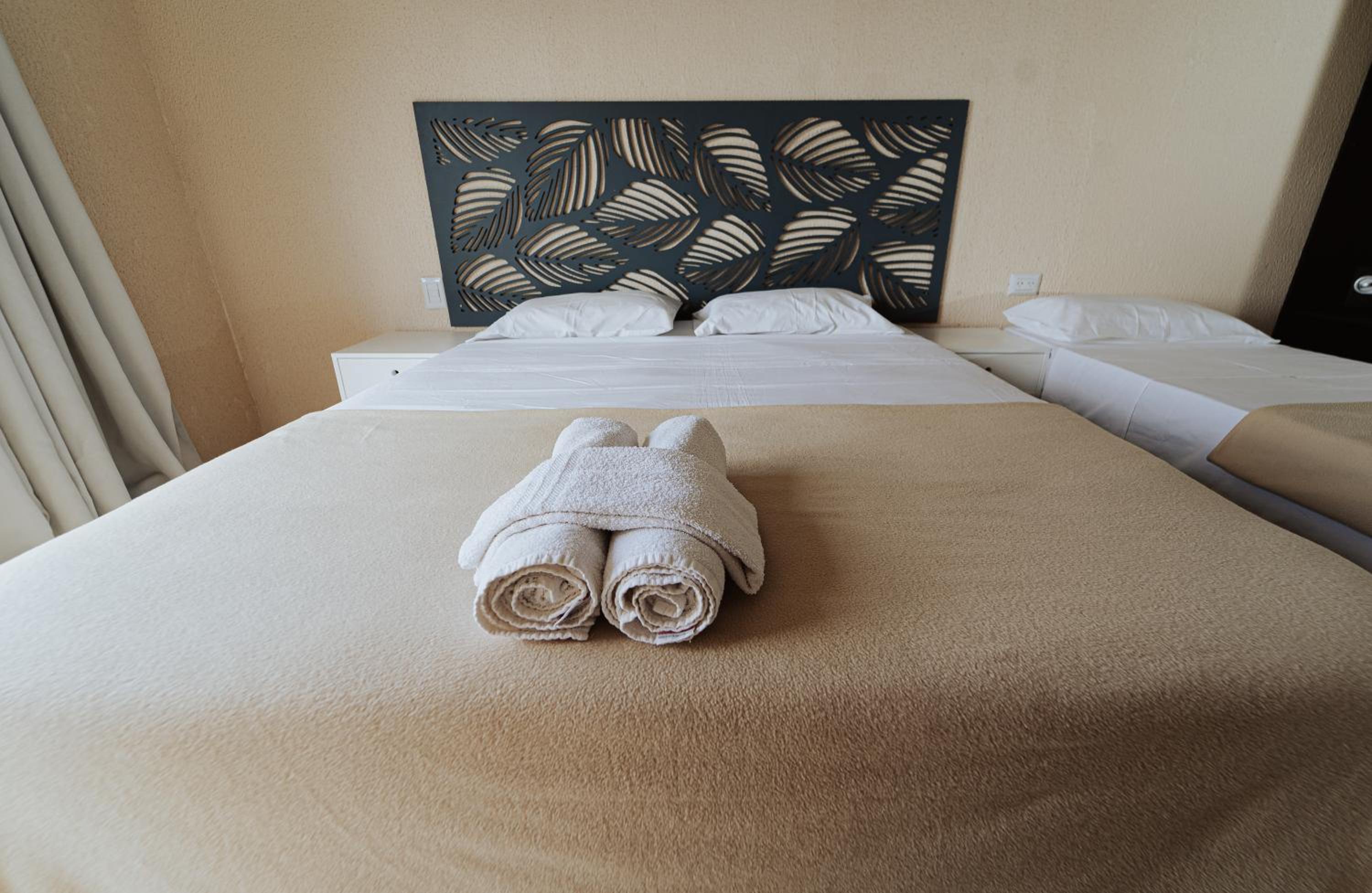 Double Room with Balcony photo 3