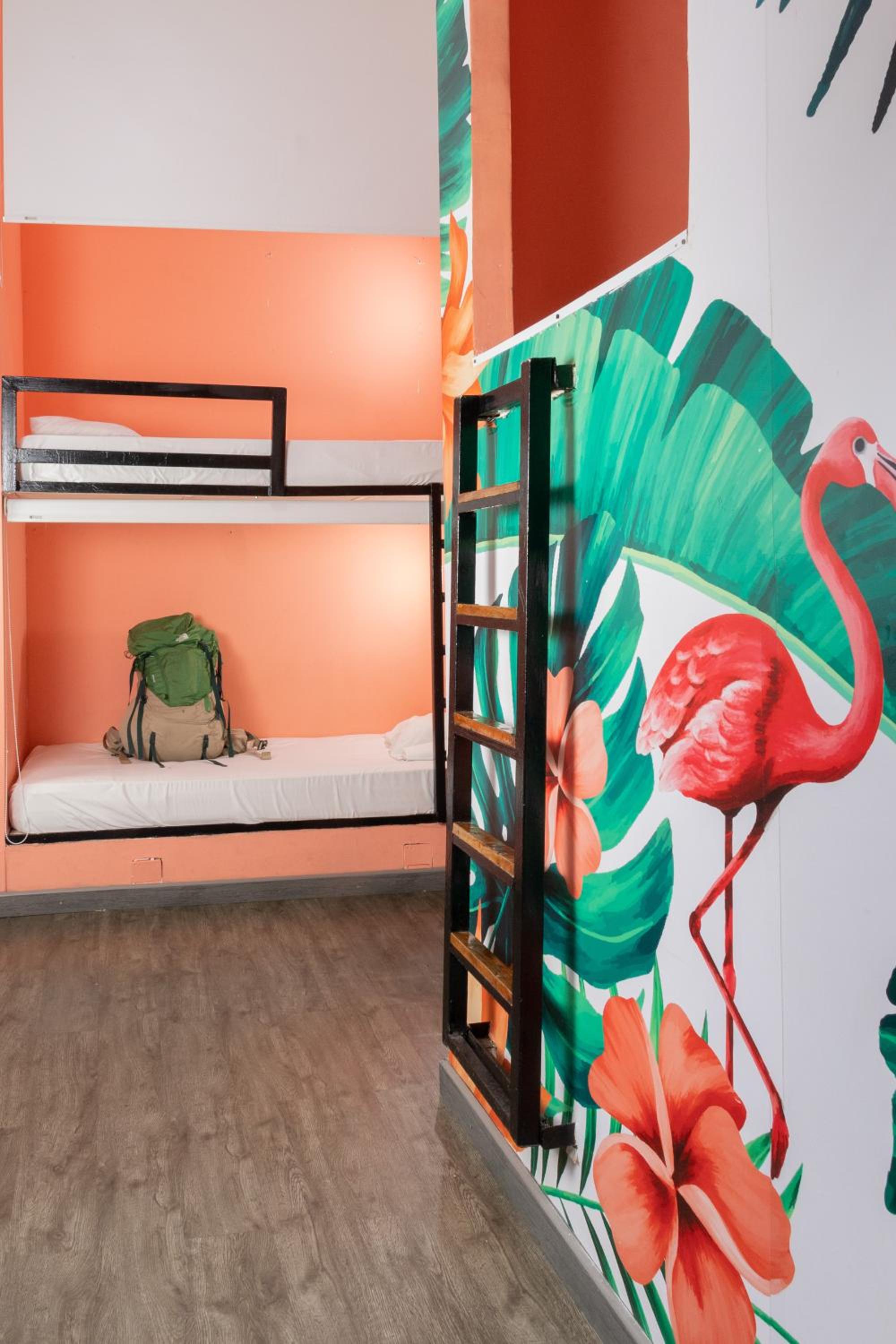 Single Bed in Mixed Dormitory Room