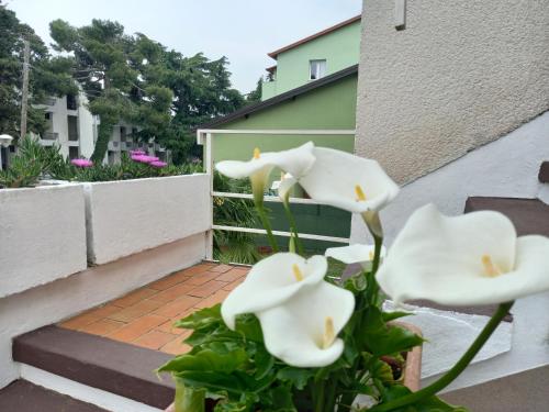 Penthouse Apartment photo 3