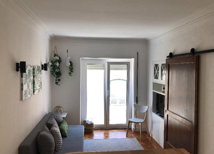 One-Bedroom Apartment photo 3