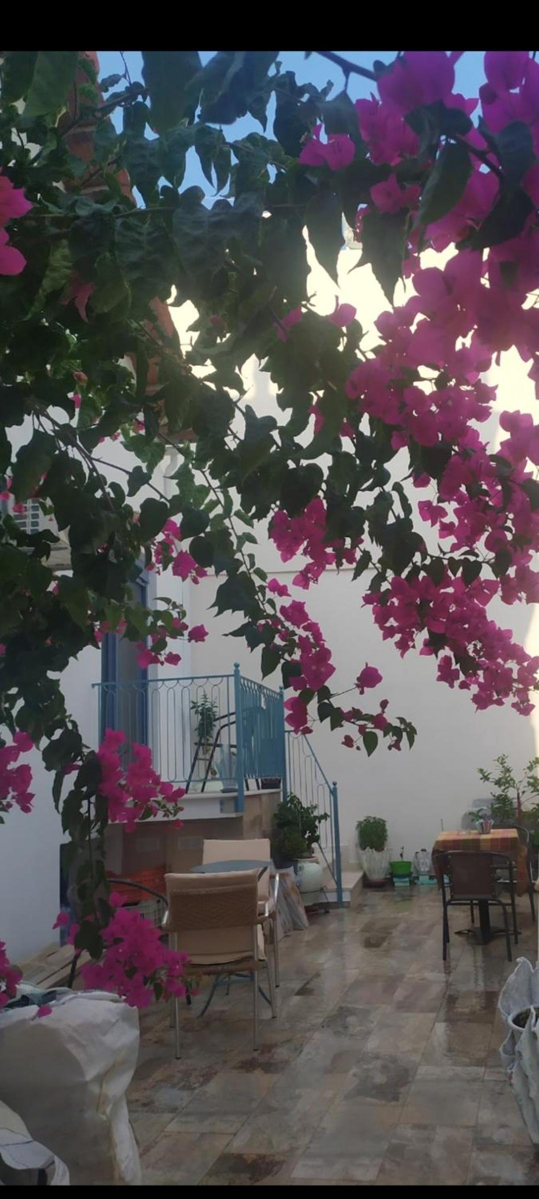 Vacation Home - Photo 26