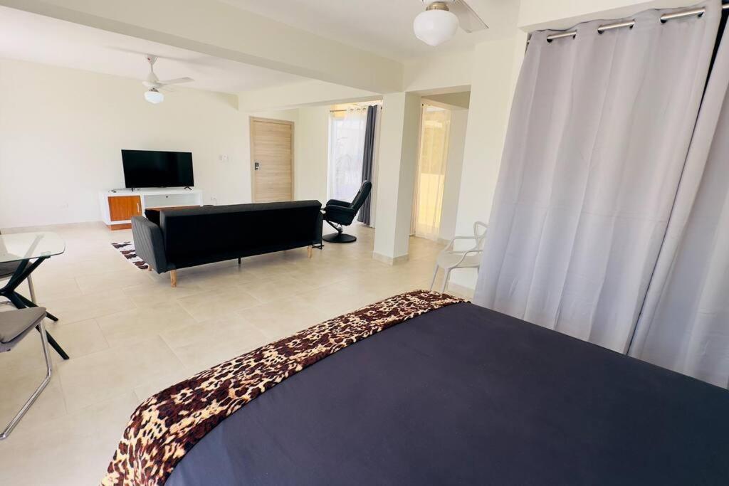One-Bedroom Apartment photo 2