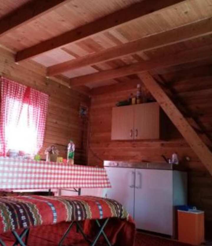 One-Bedroom House photo 3