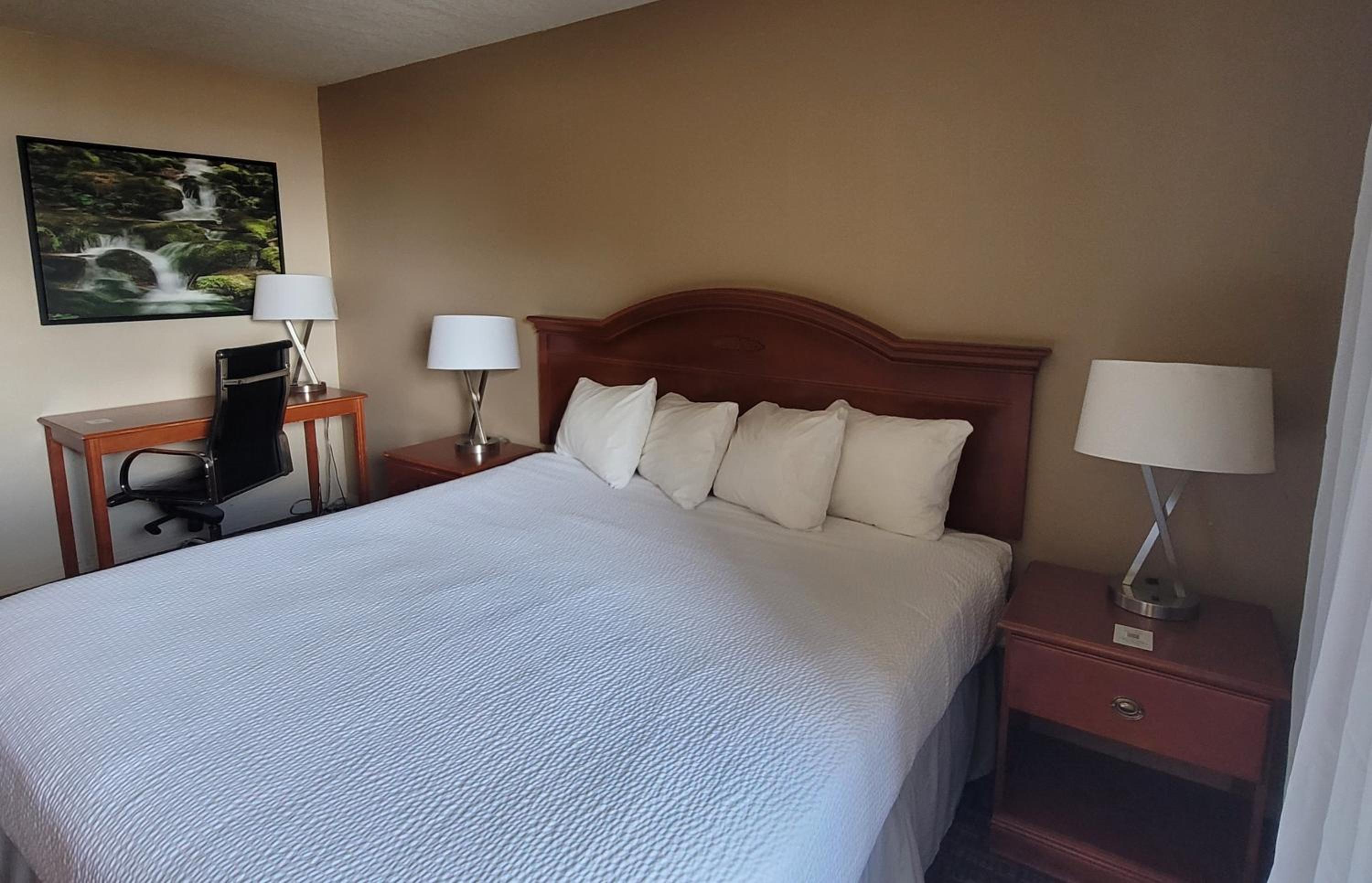 King Room - Non-Smoking - Photo 5