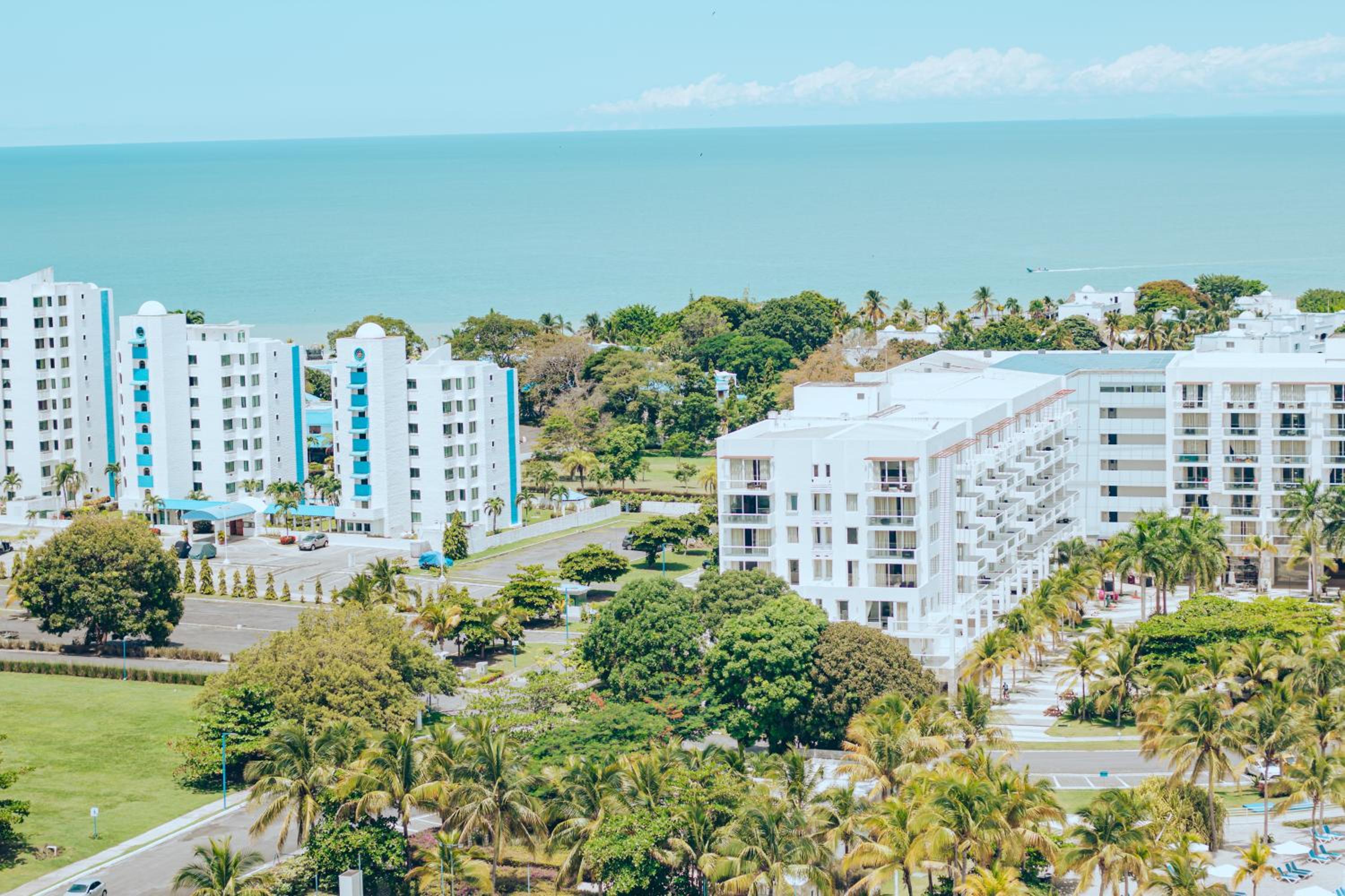 Superior Apartment photo 3