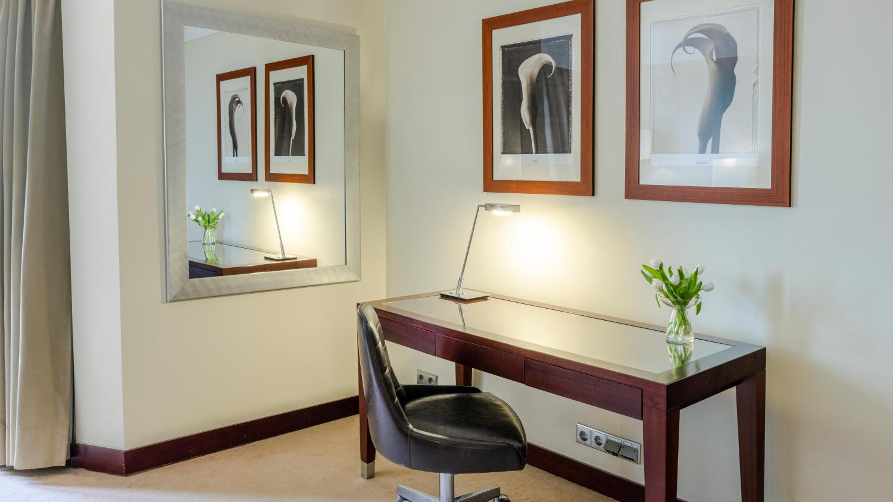Junior King Suite - Photo 1