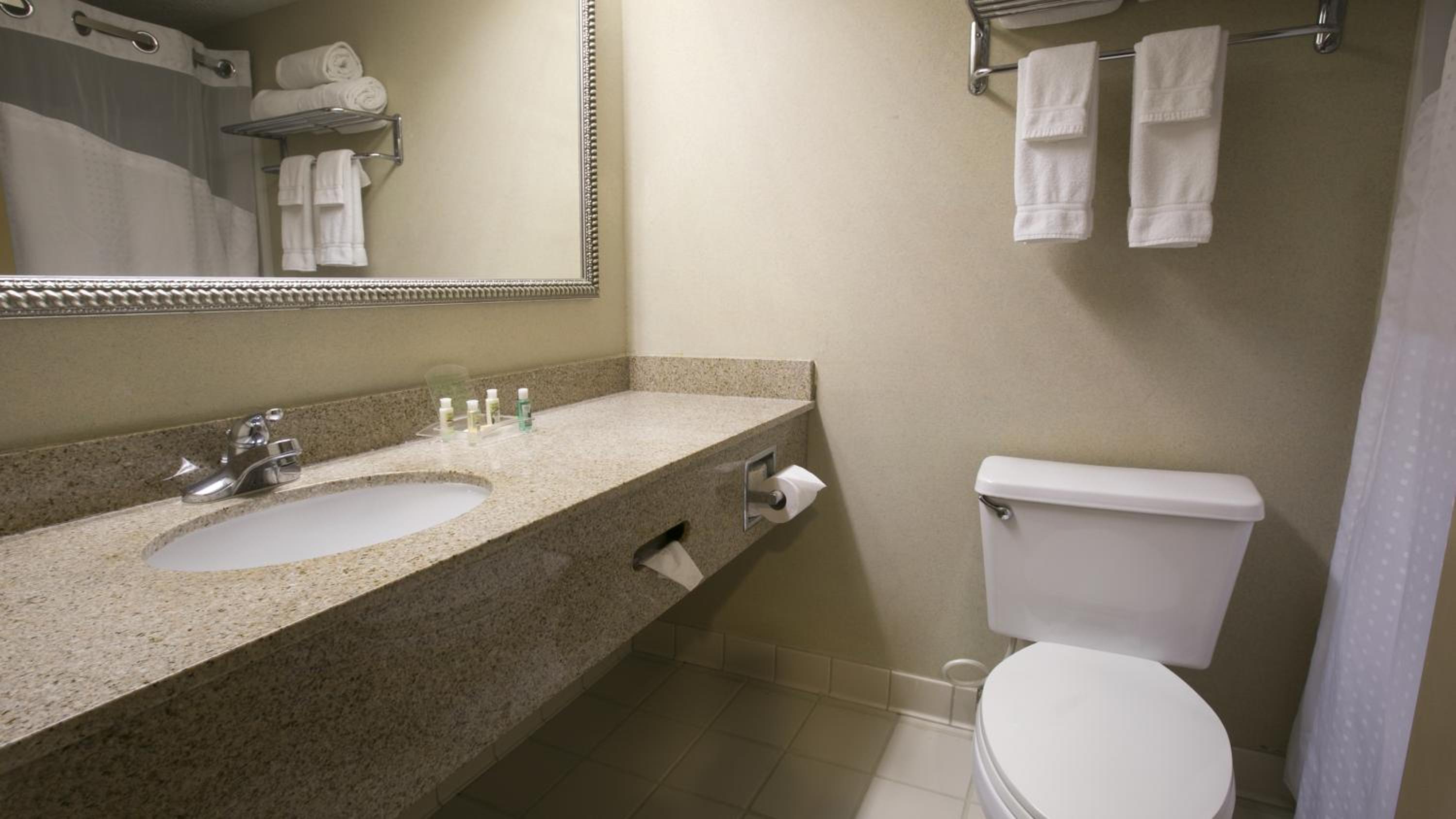 Standard King Room with Mobility Accessible Tub - Photo 3
