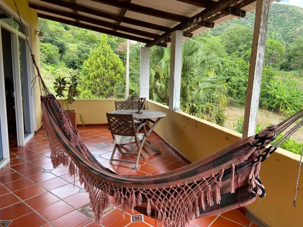 Family Room With Terrace photo 3