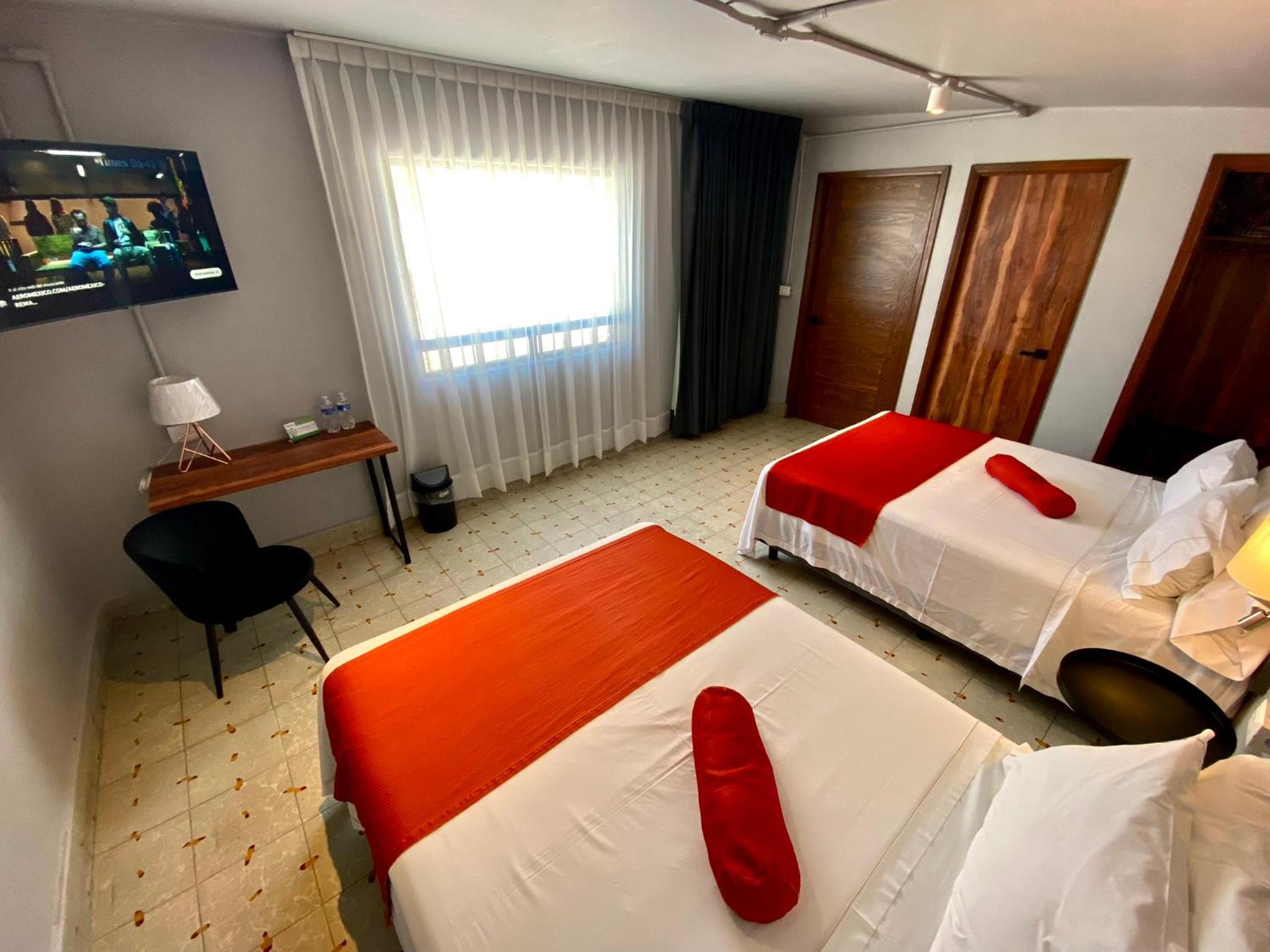 Twin Room photo 3