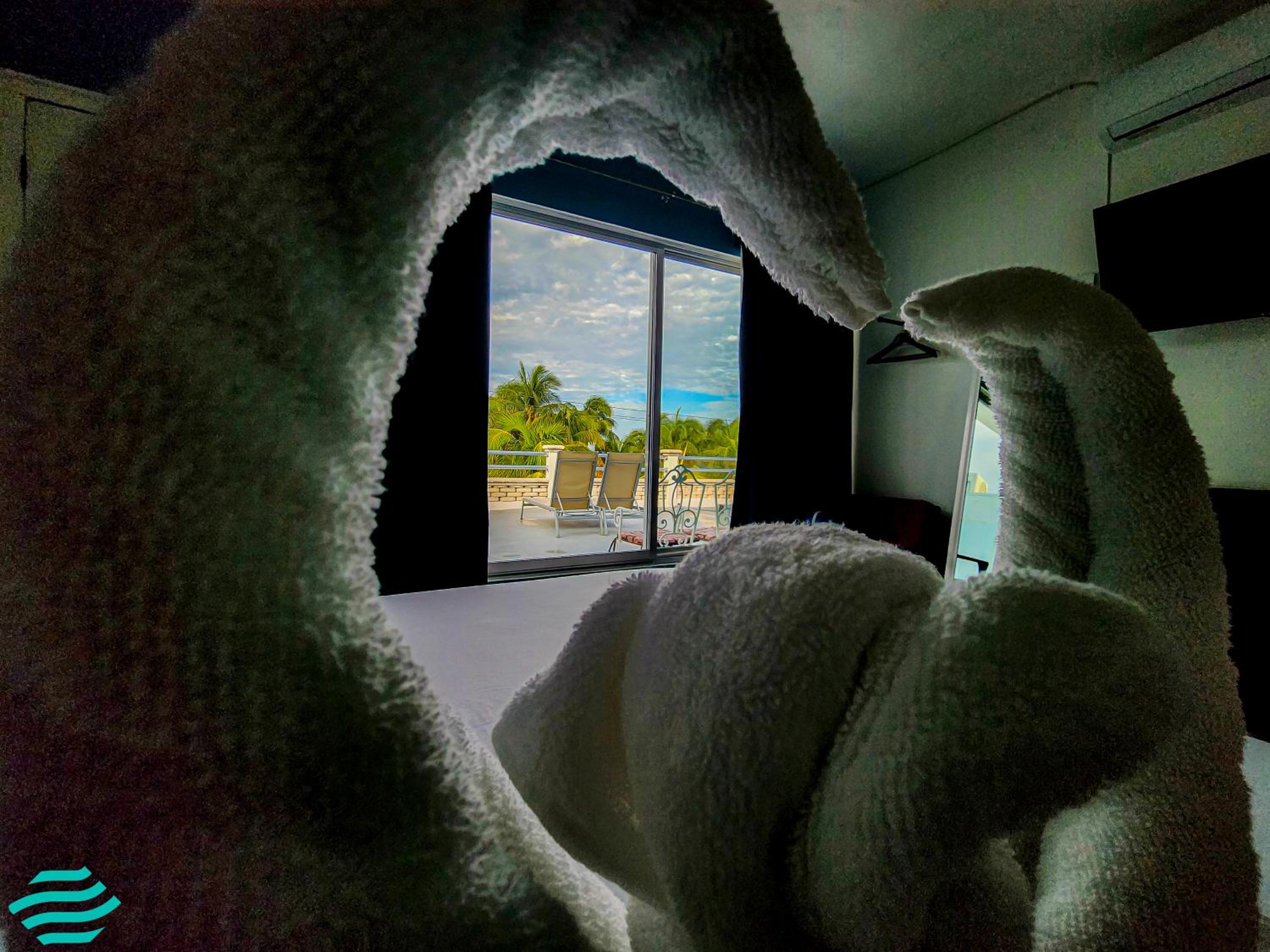 Double Room with Terrace - Photo 6