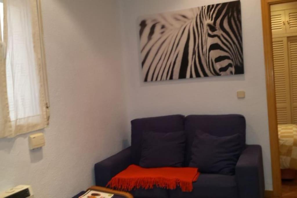 One-Bedroom Apartment photo 3