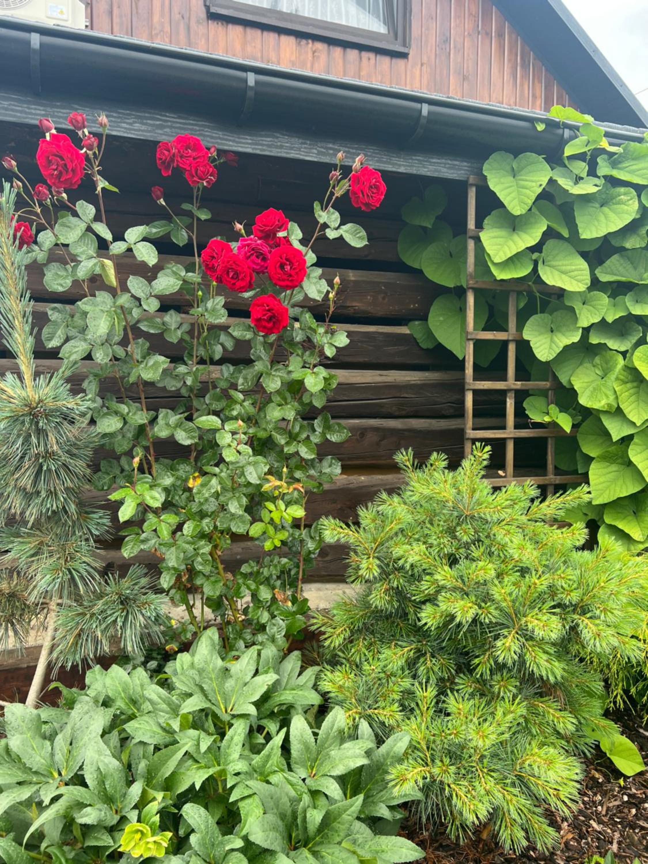 Holiday Home - Photo 18