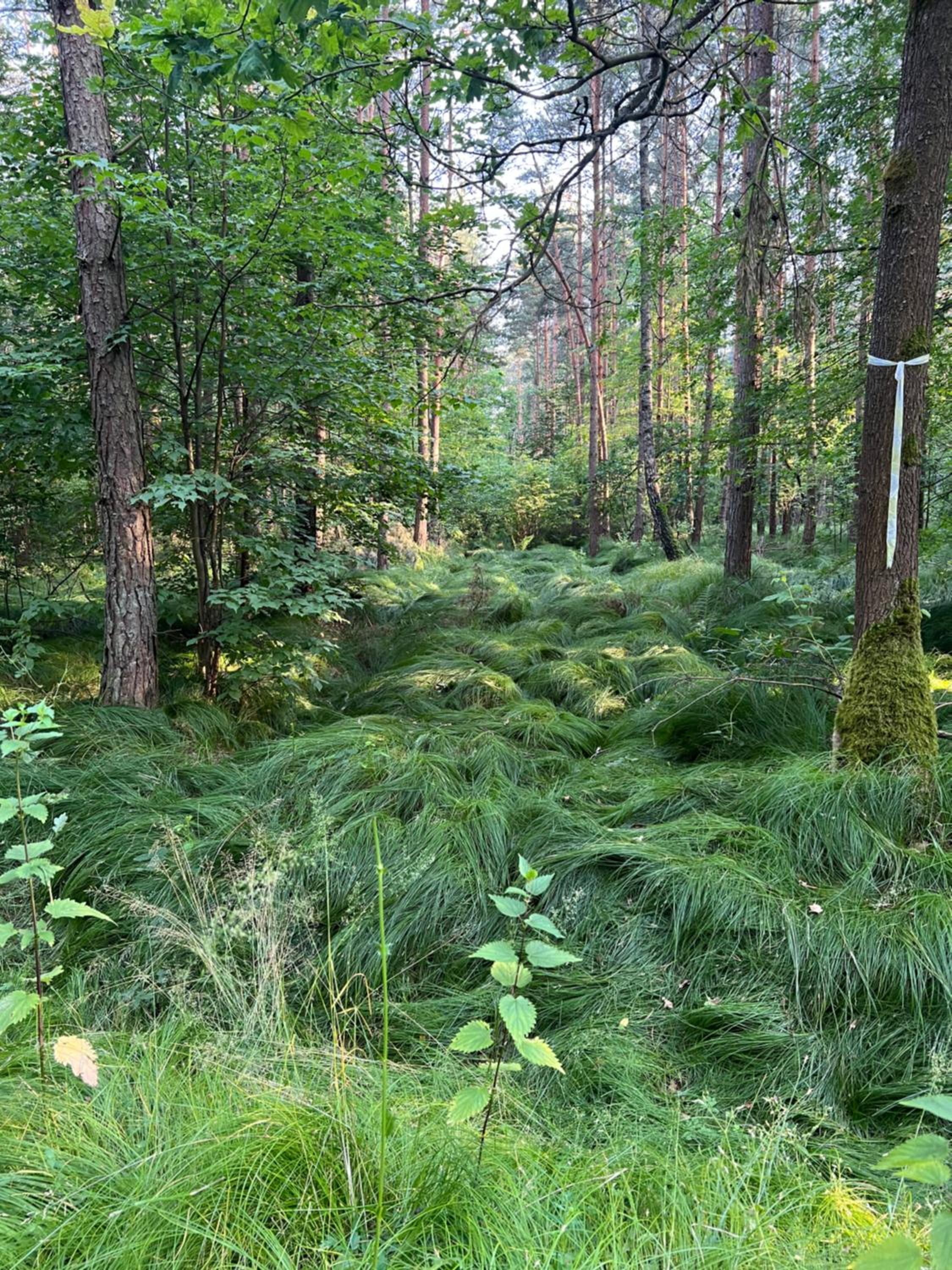 Holiday Home - Photo 21
