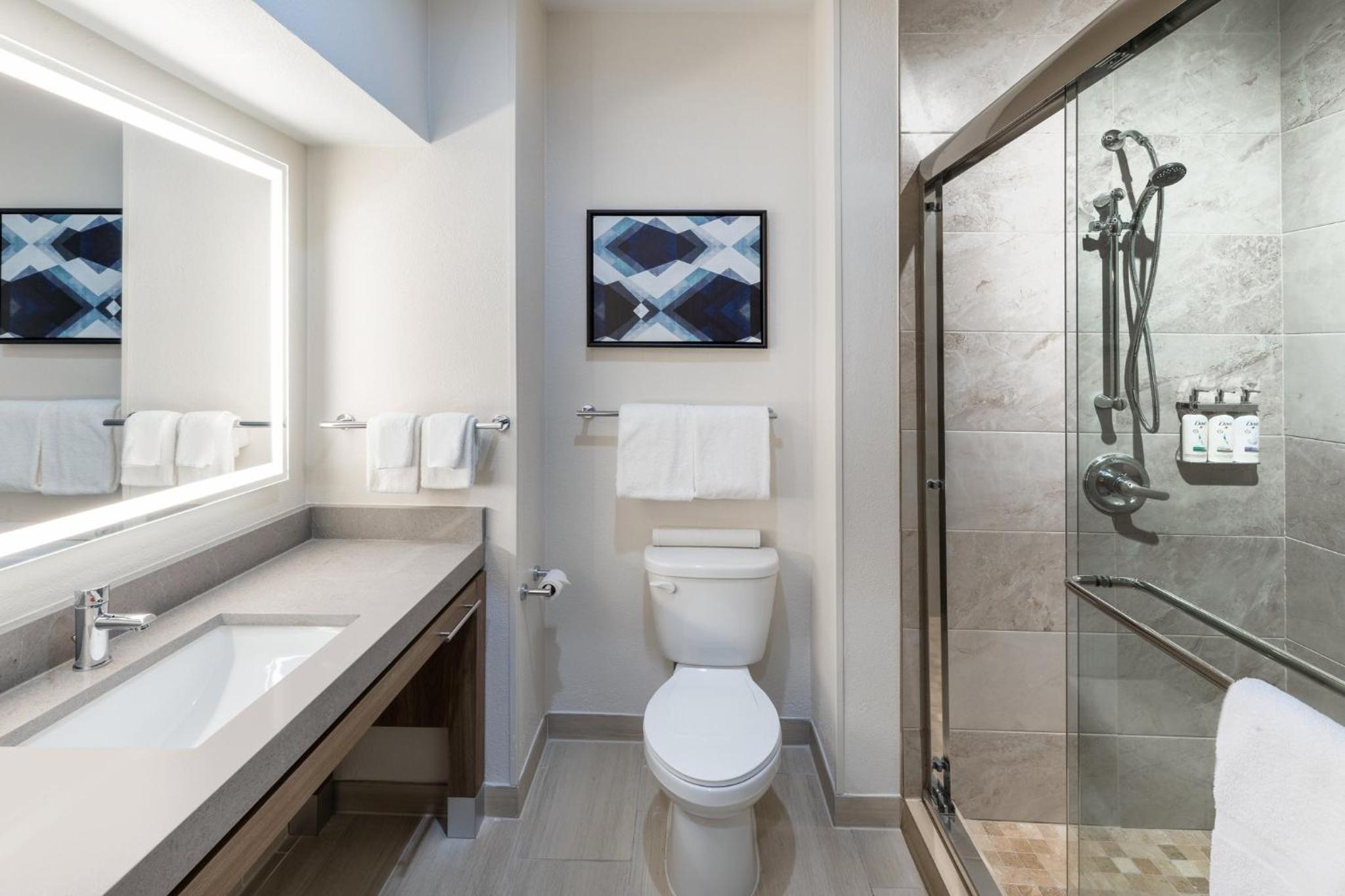 One Bedroom Suite with Walk In Shower - Photo 8