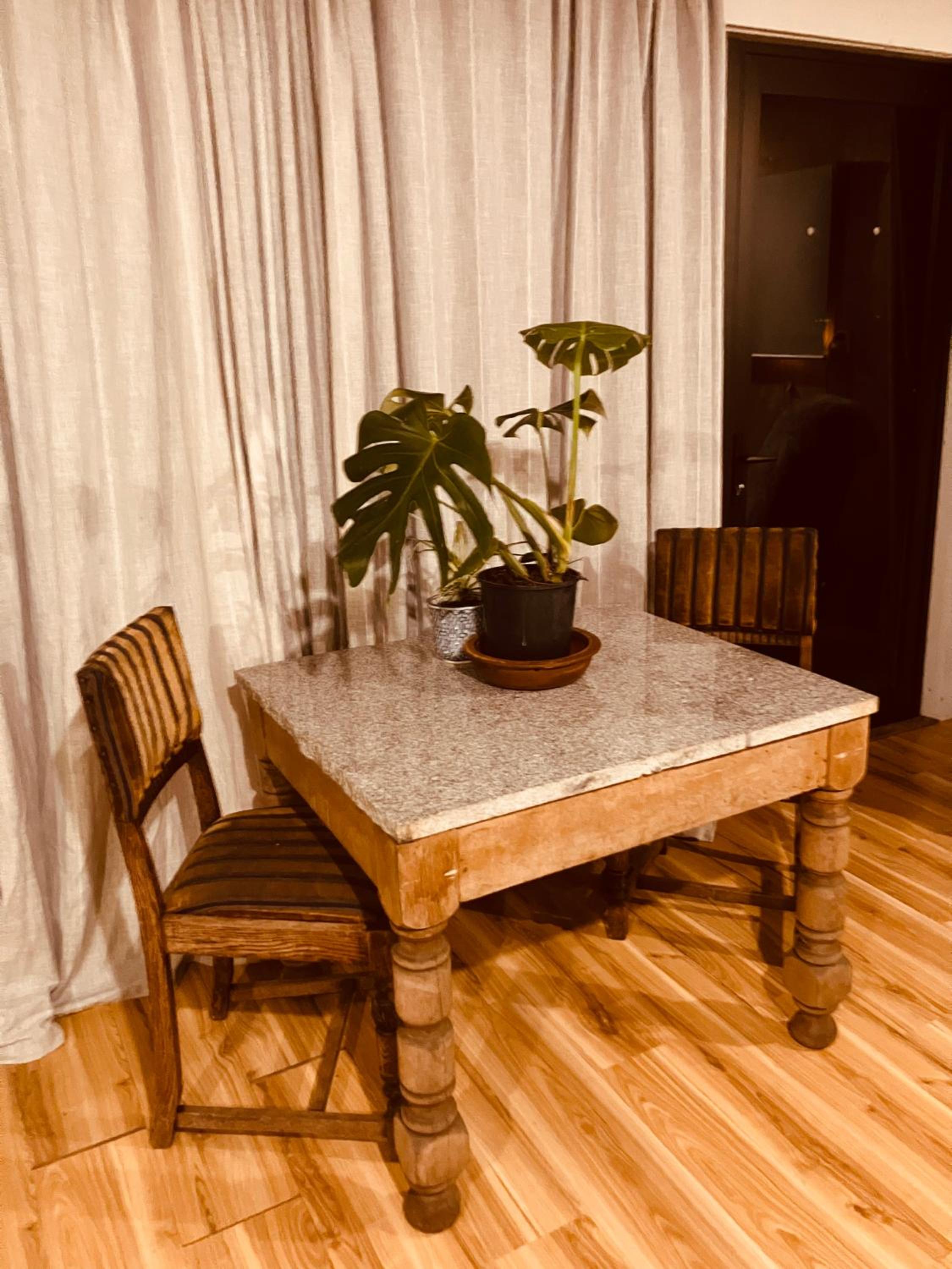Family Studio photo 3