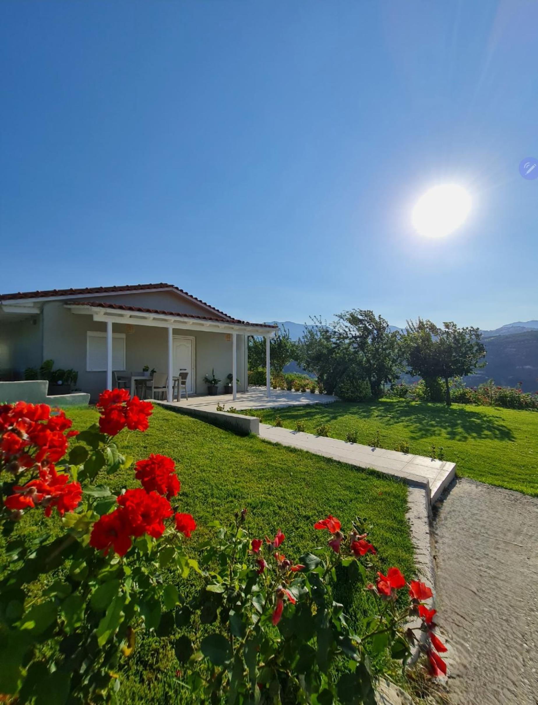 One-Bedroom Villa photo 2