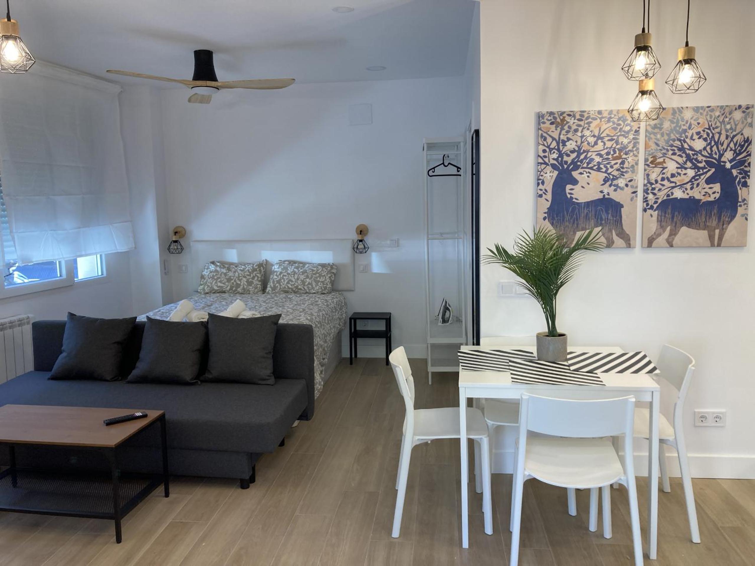 Apartamento de una habitación