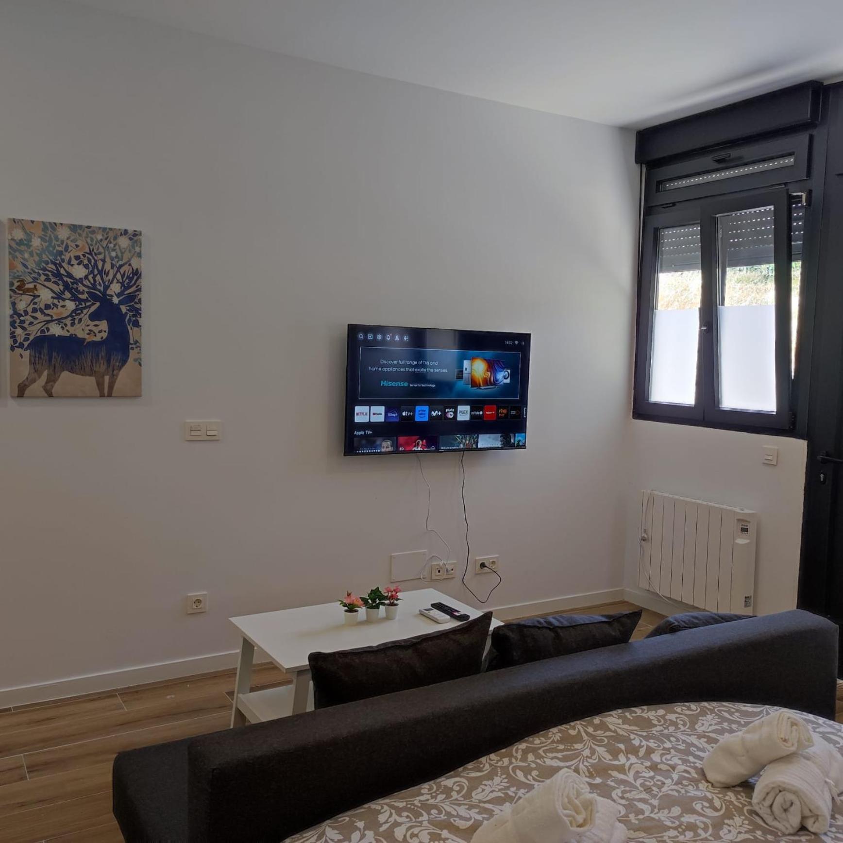 Apartamento de una habitación