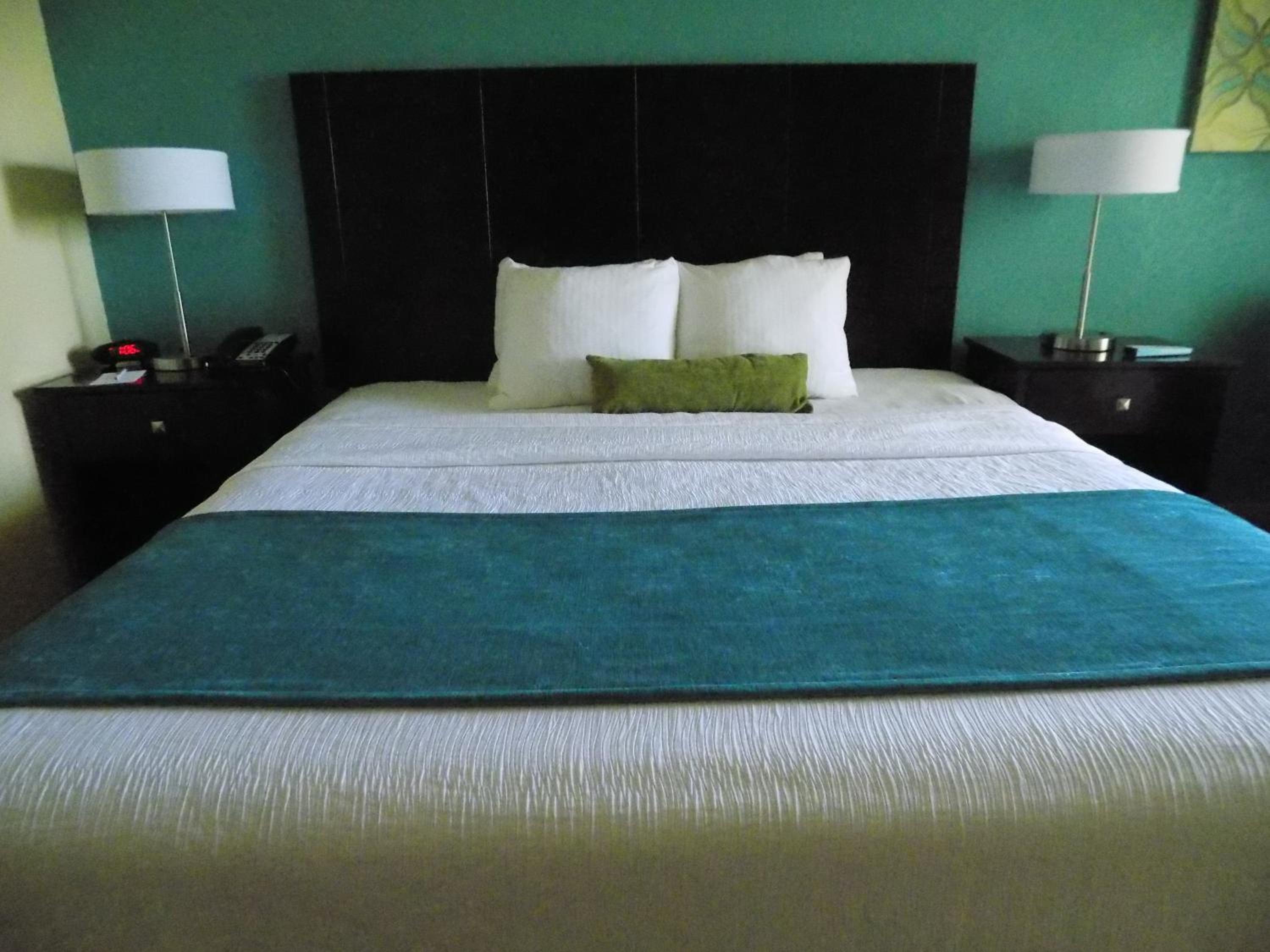 Double Suite - Disability Access - Photo 6