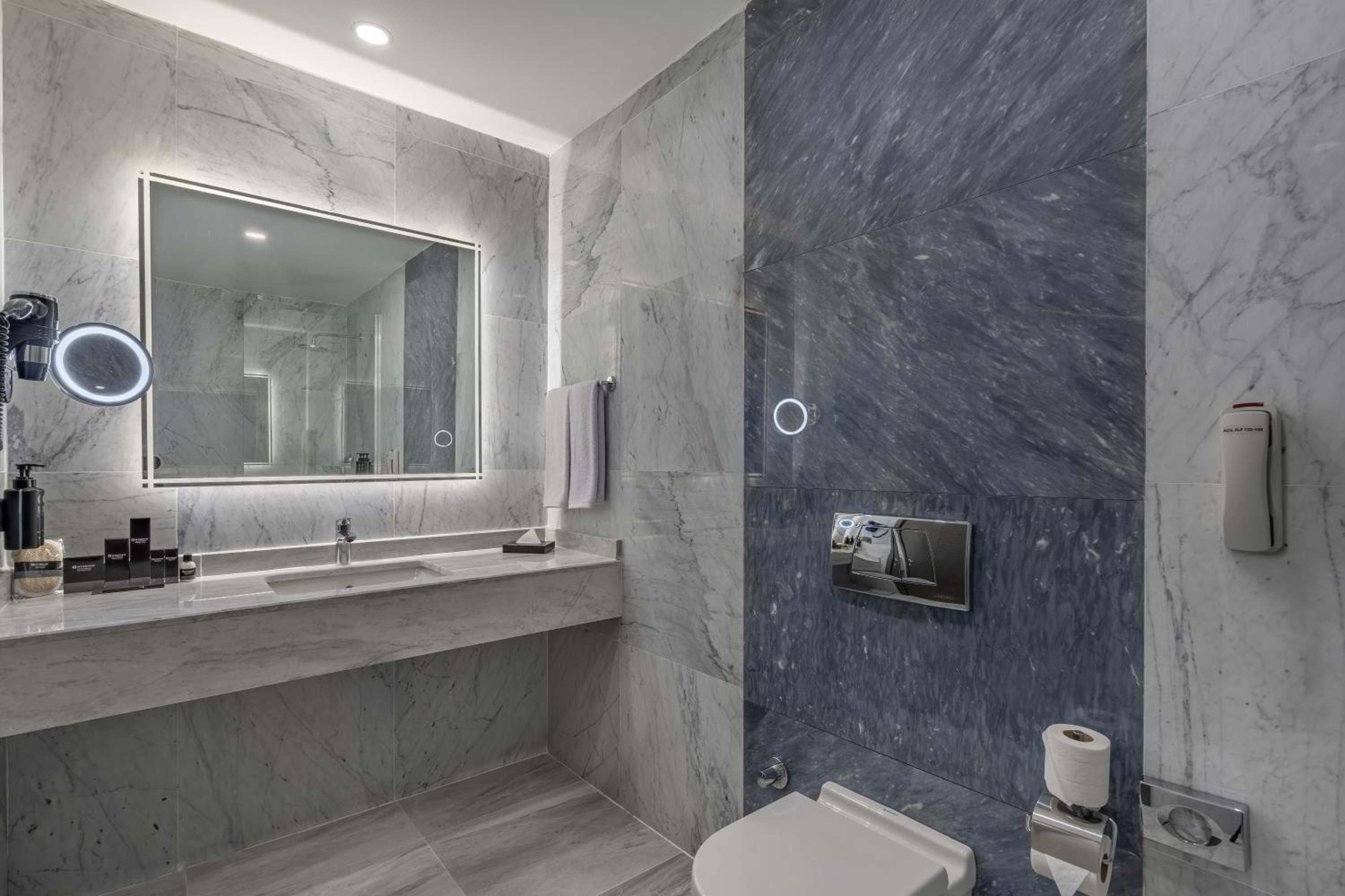 Accessible Room - Photo 4
