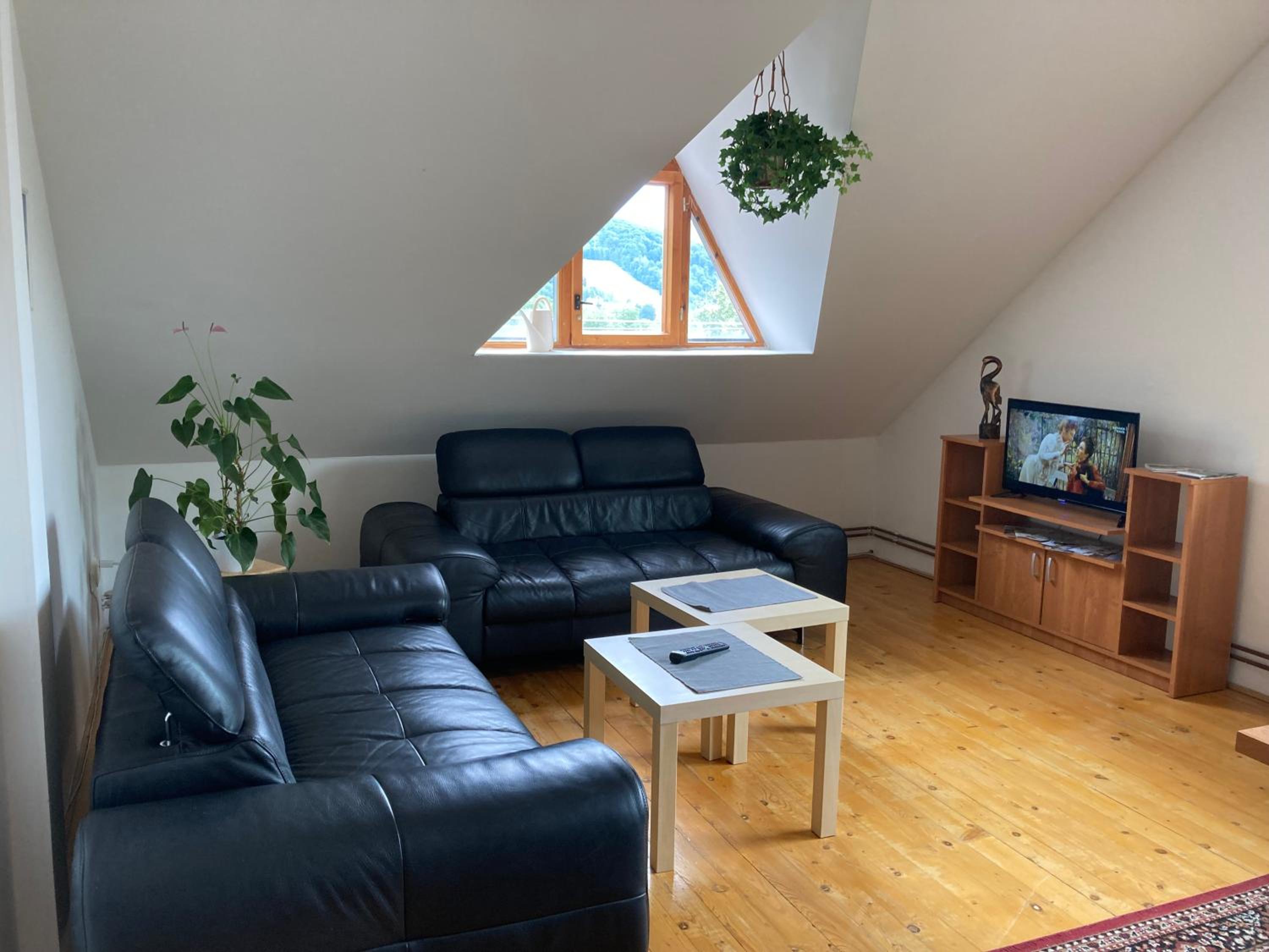 Apartment with Mountain View photo 1