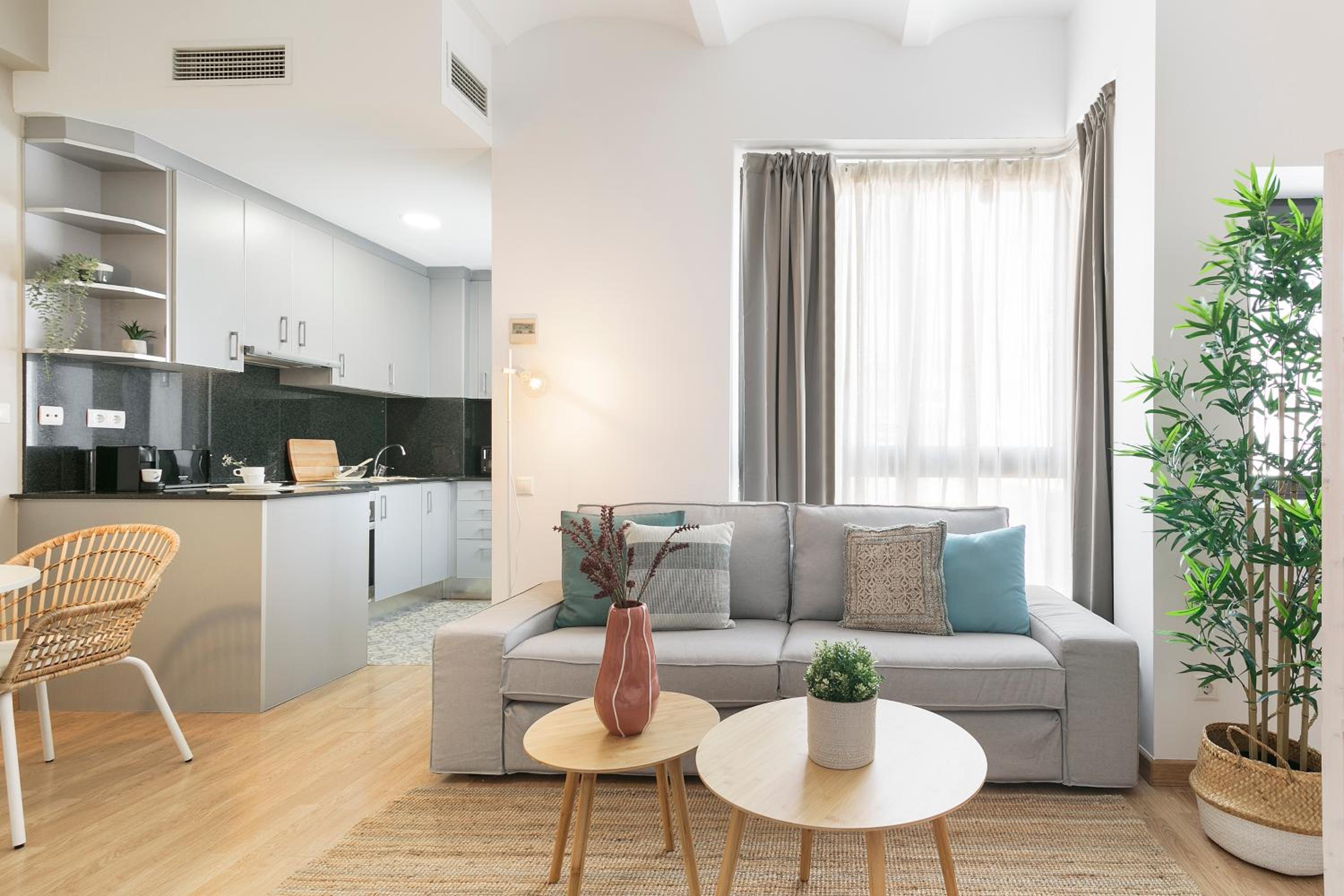 One-Bedroom Apartment photo 2