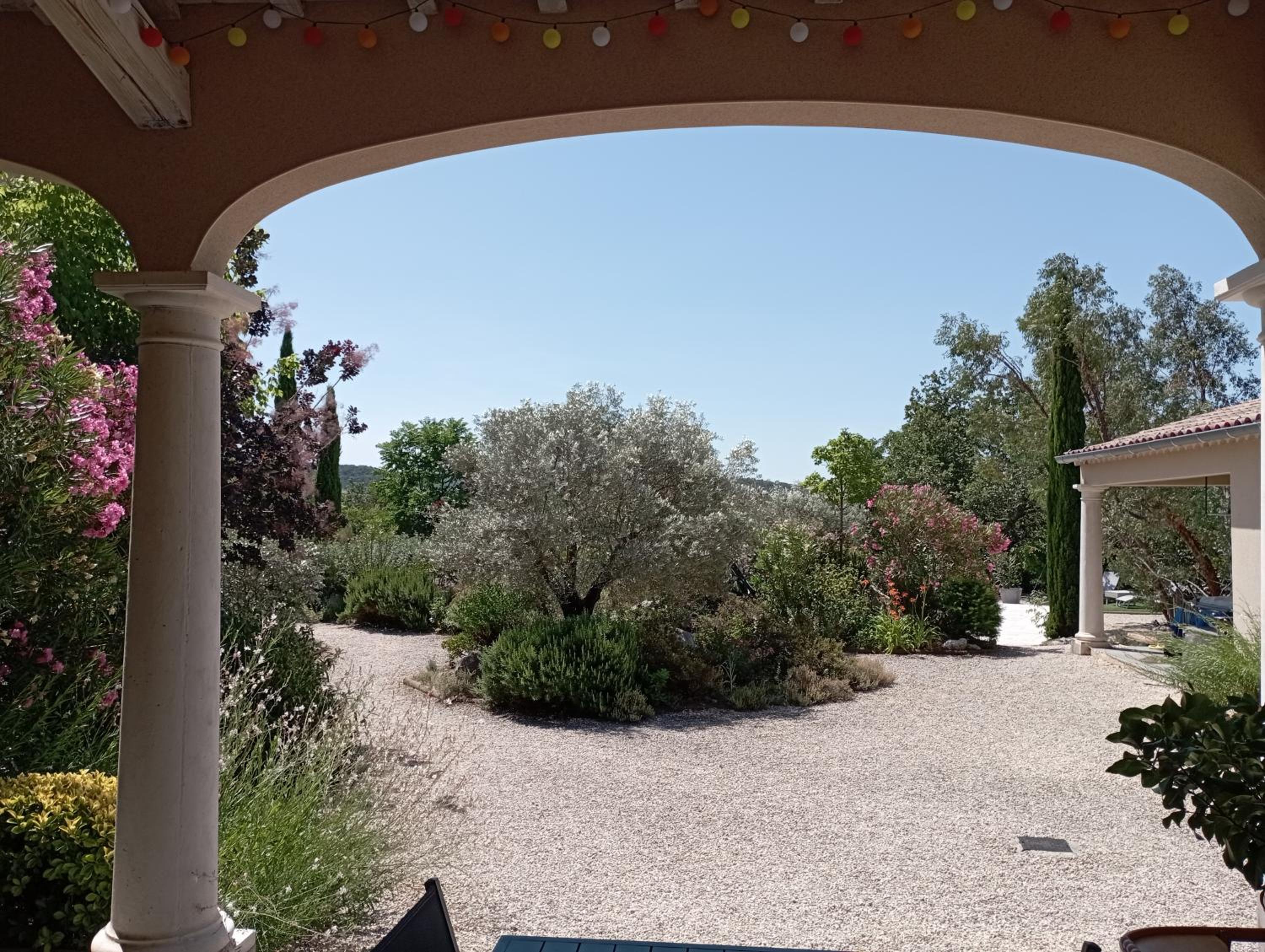 Double Room with Garden View photo 1