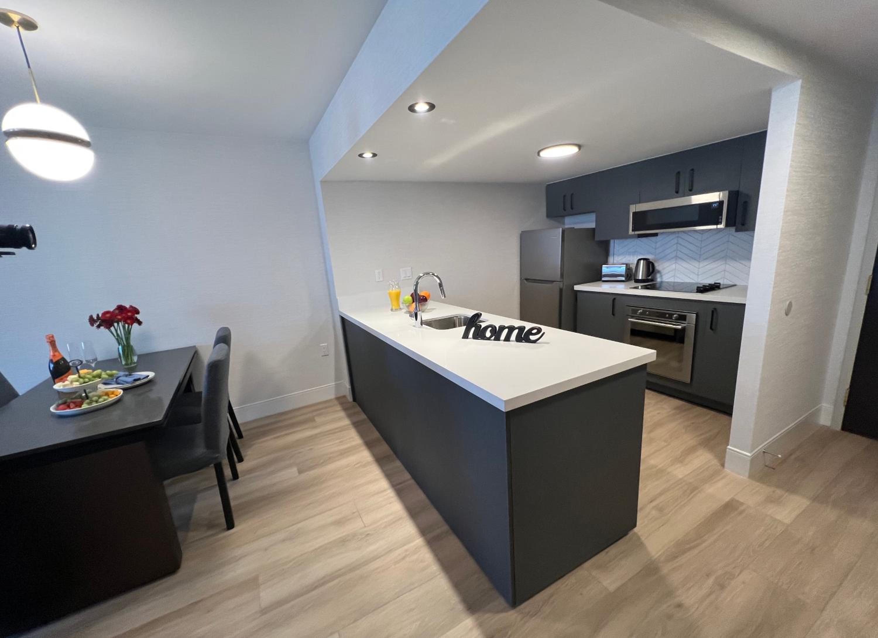Modern One Bedroom King Suite