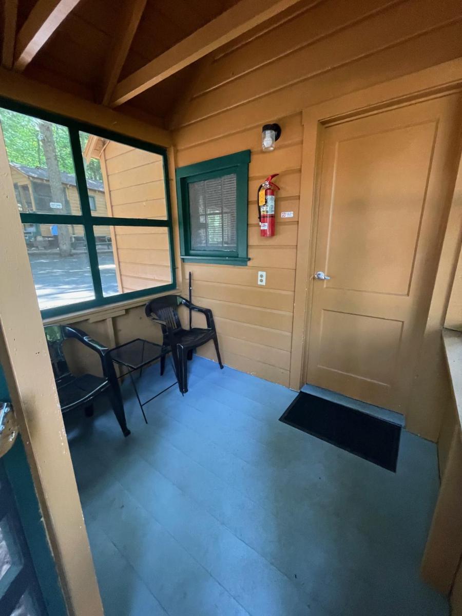 Studio with Terrace photo 1