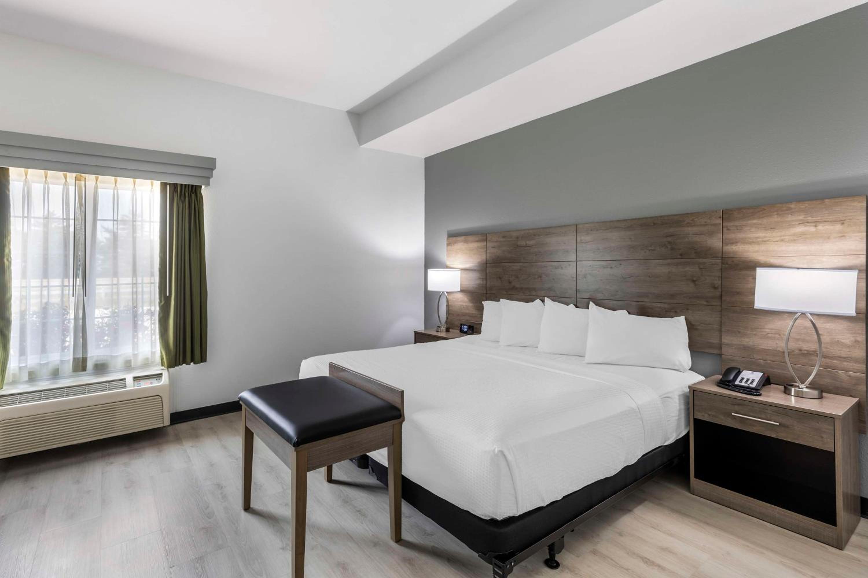 One-Bedroom King Suite with Walk-In Shower and Sofa Bed - Disability/Non-Smoking - Photo 3