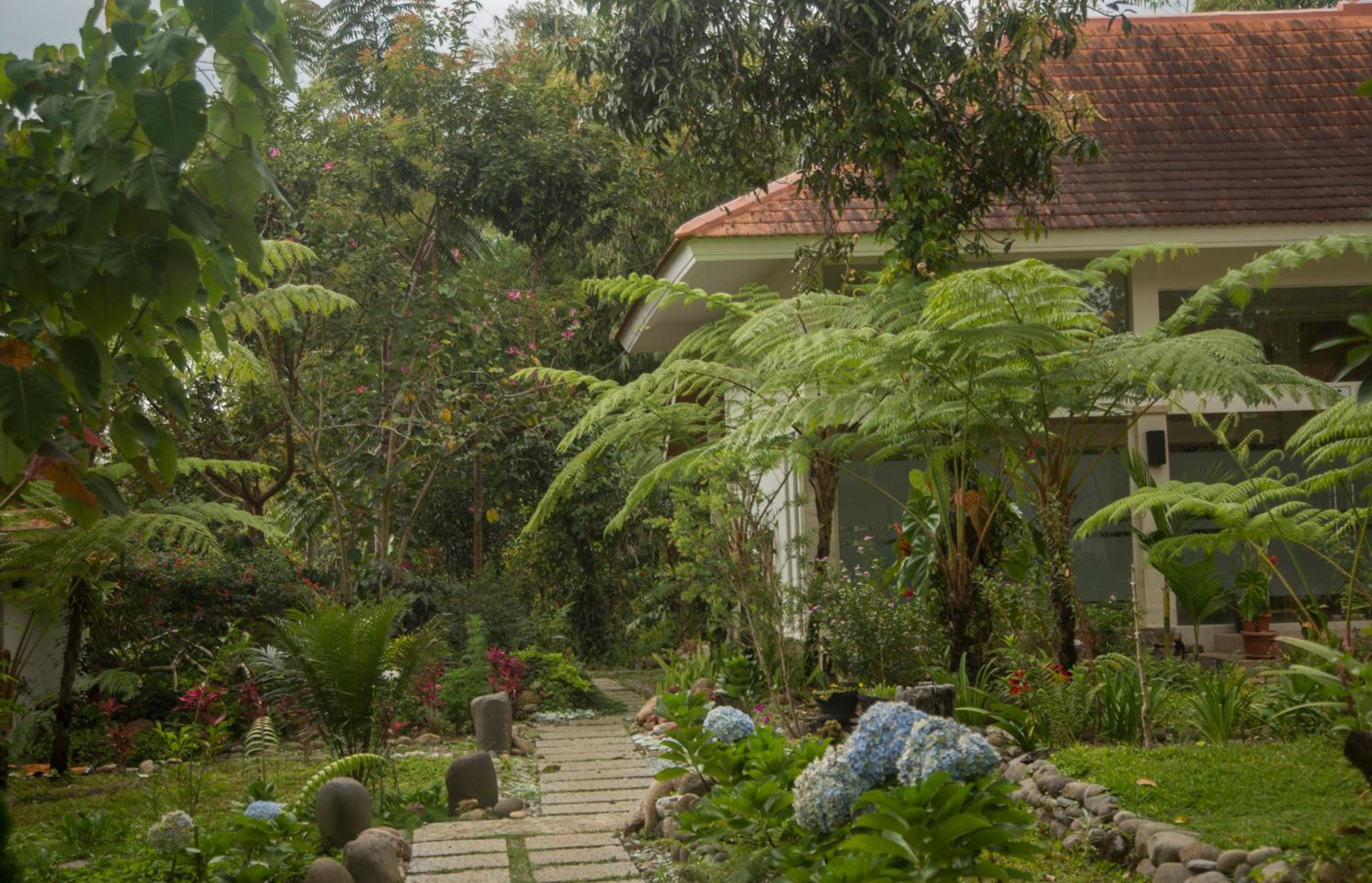 Villa with Garden View - Photo 11