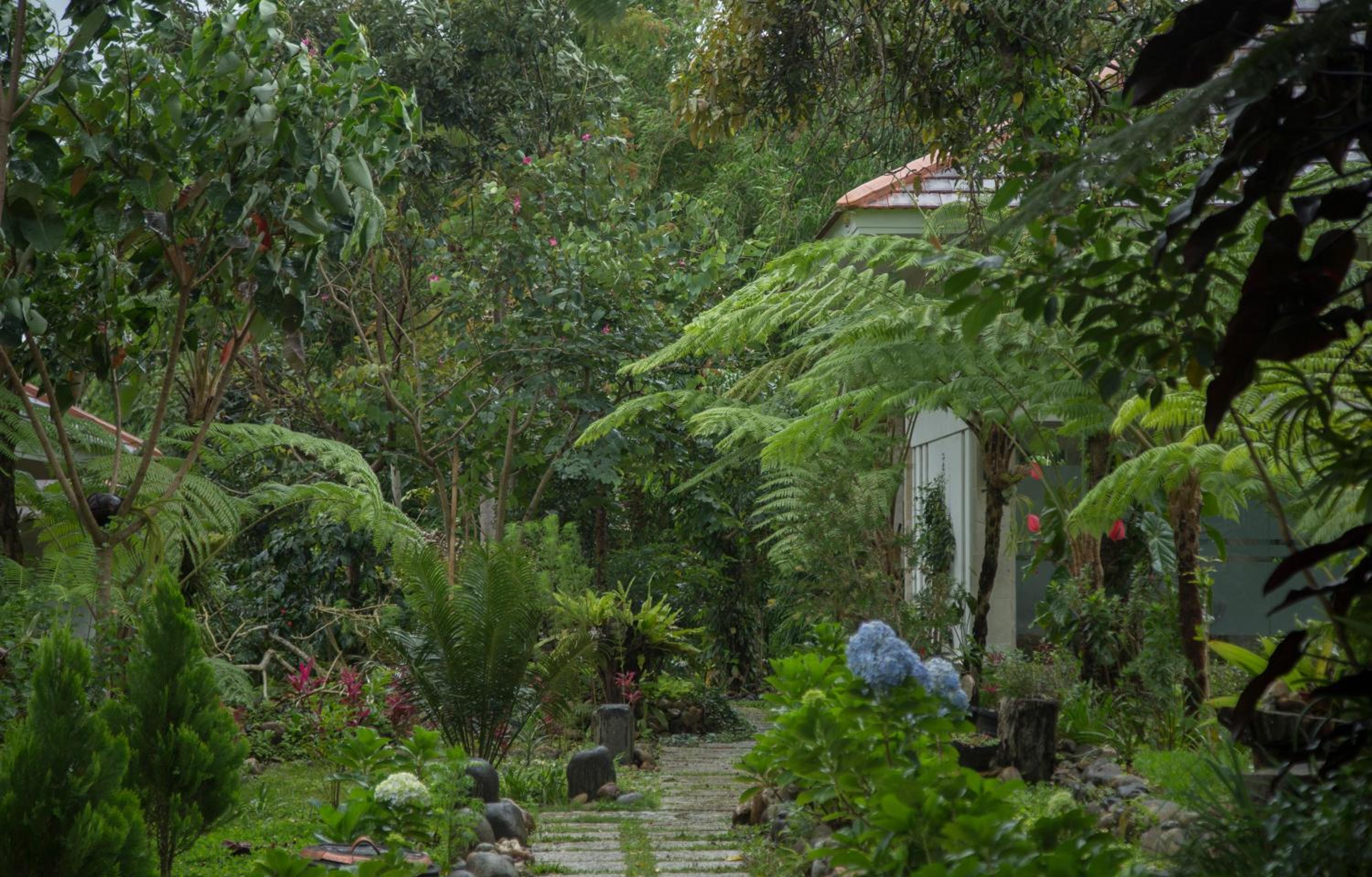 Villa with Garden View - Photo 10