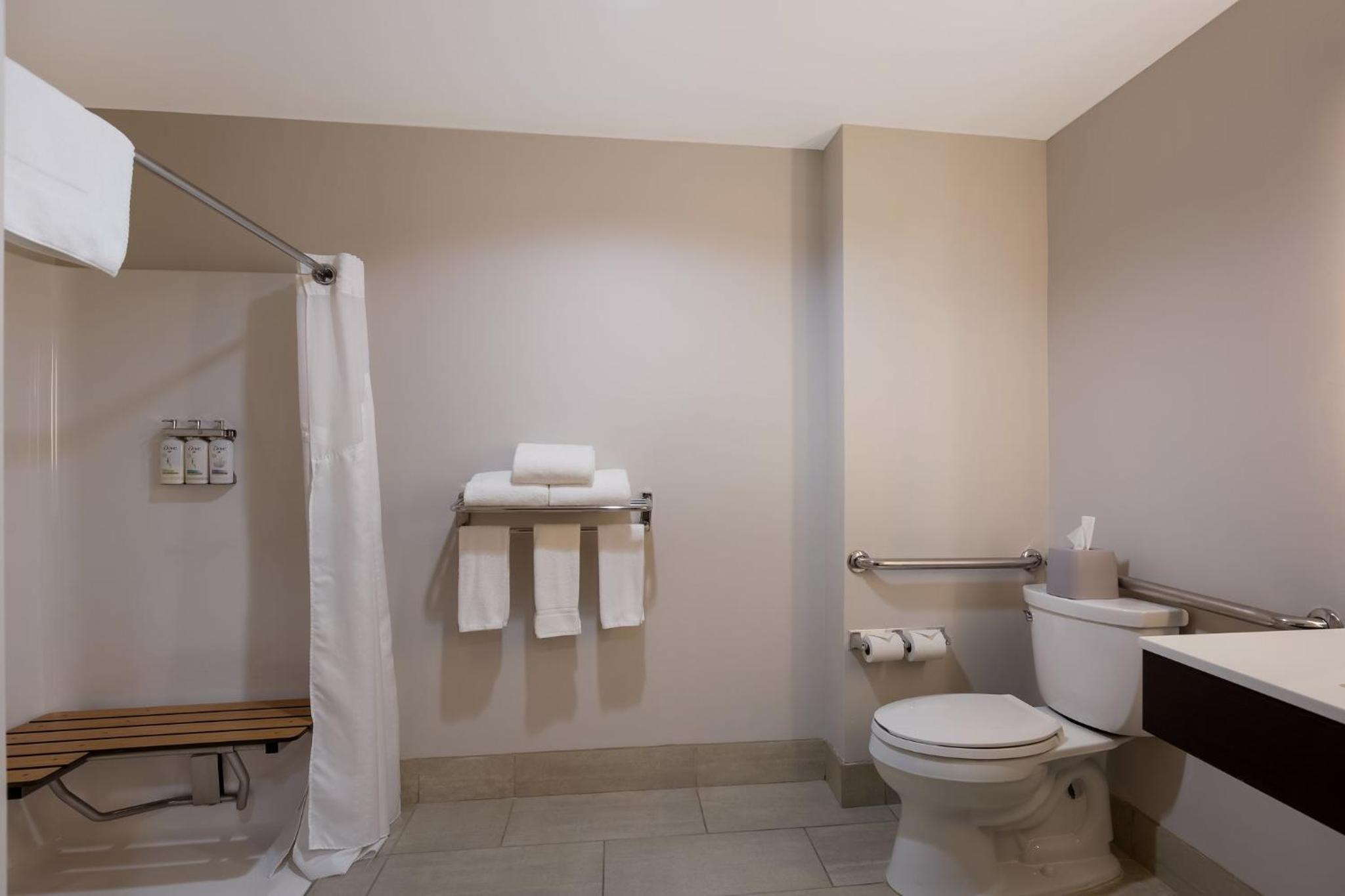 King Room - Disability Access Roll in Shower - Photo 3