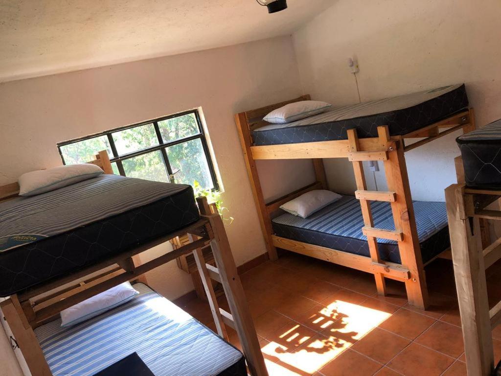 6-Bed Female Dormitory Room photo 2