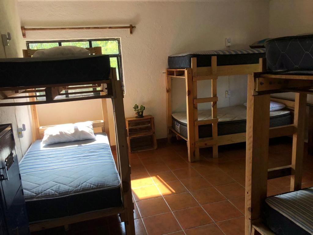Bed in 6-Bed Dormitory Room photo 1