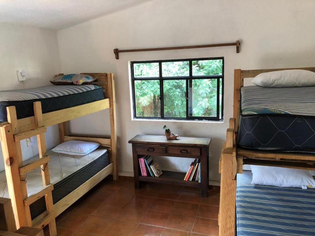 Bed in 6-Bed Dormitory Room photo 3