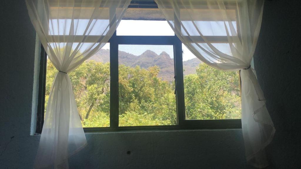 King Room with Mountain View photo 3