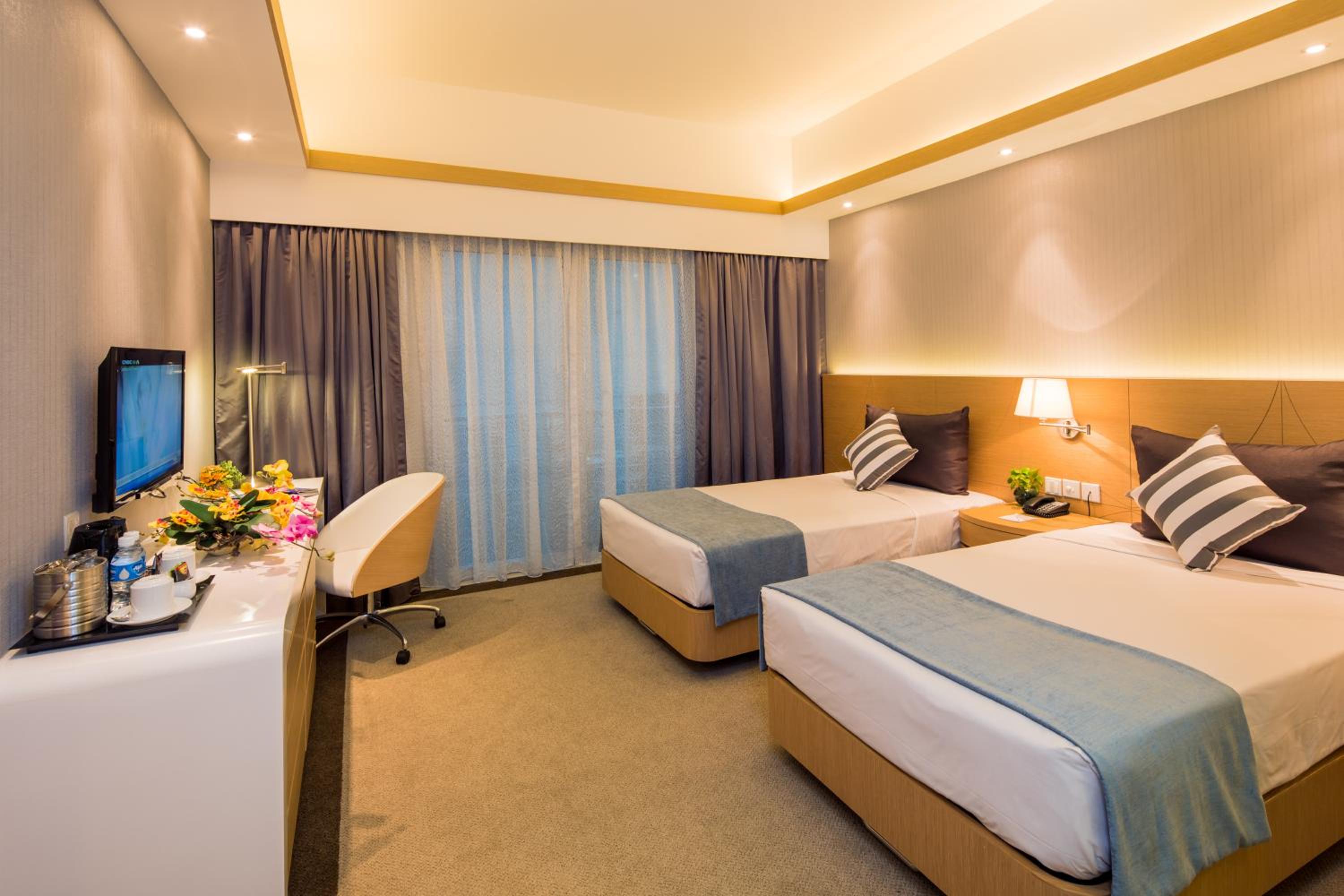 Deluxe Double or Twin Room photo 1