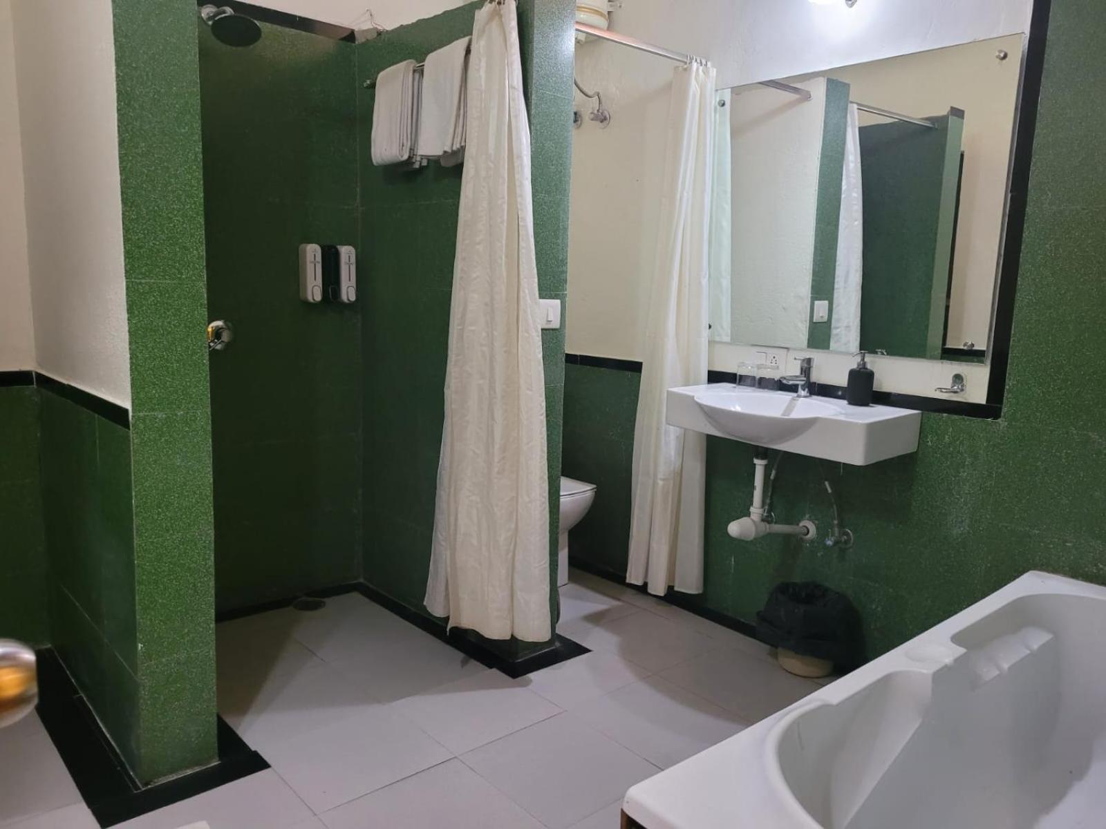 Deluxe Double or Twin Room photo 2