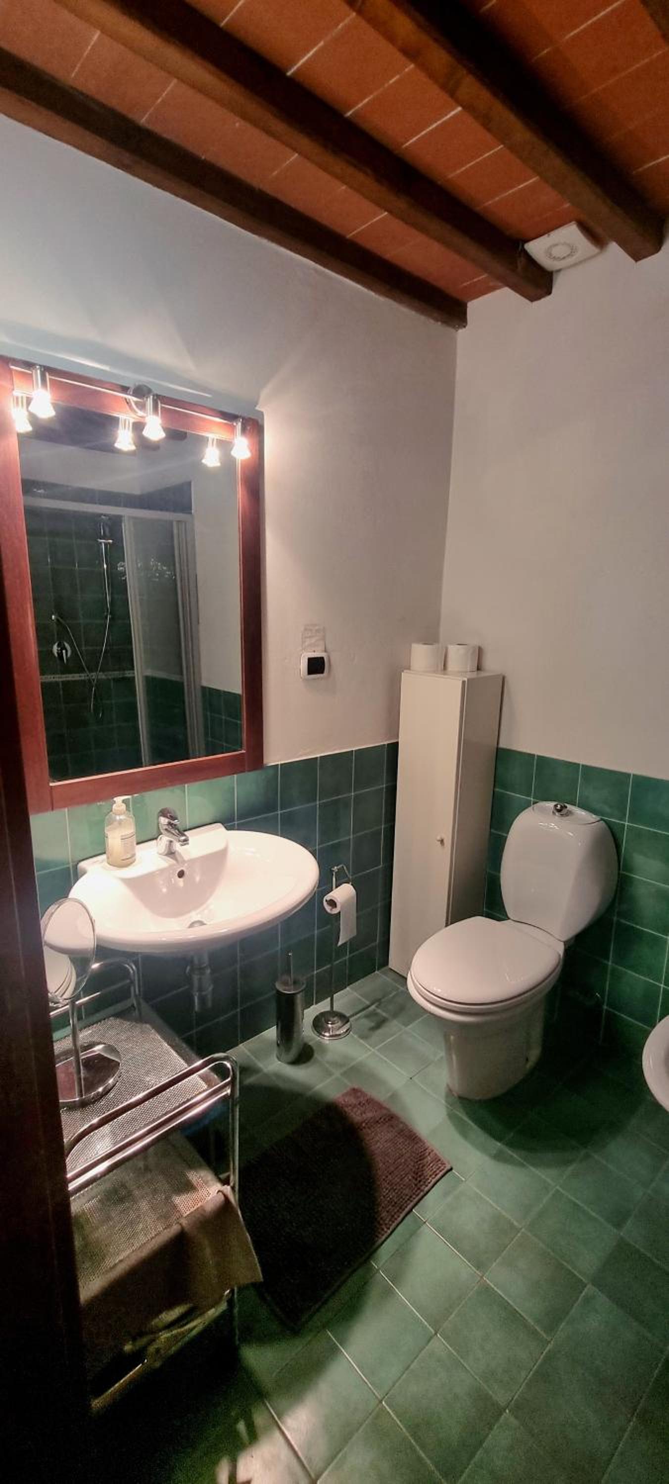 Three-Bedroom House photo 3